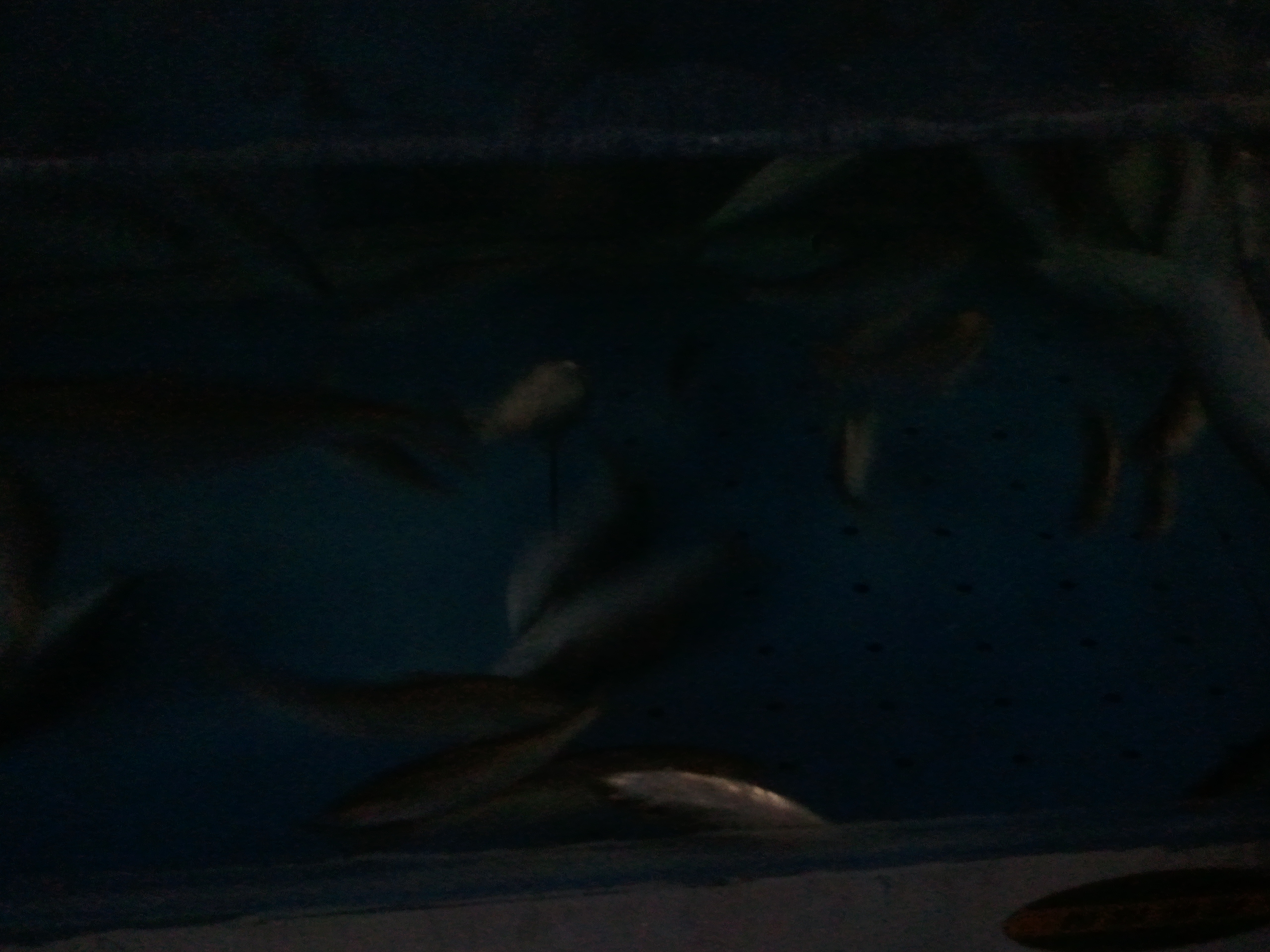 2011-10-08 19.21.28.jpg