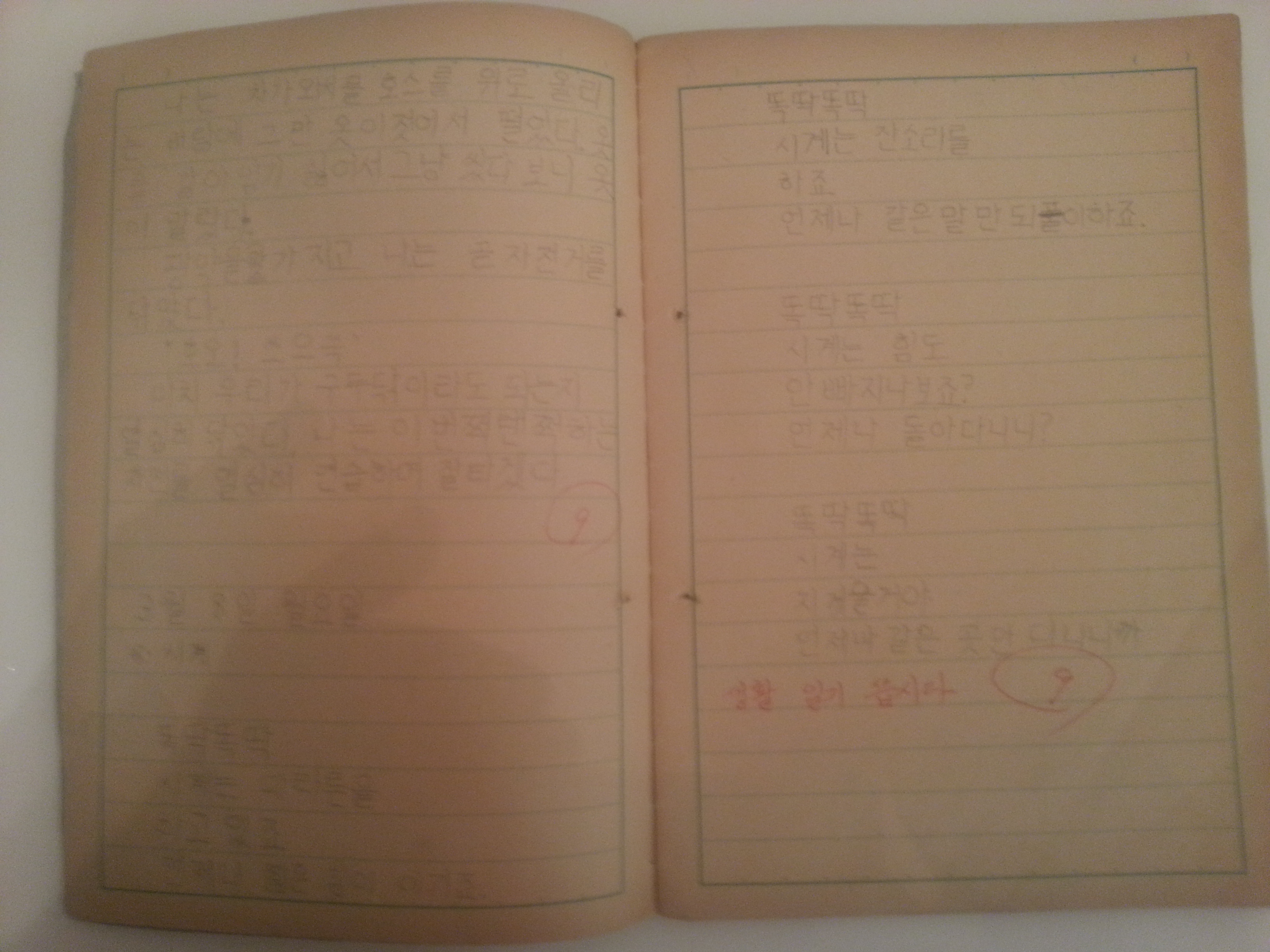 20130520_204449.jpg