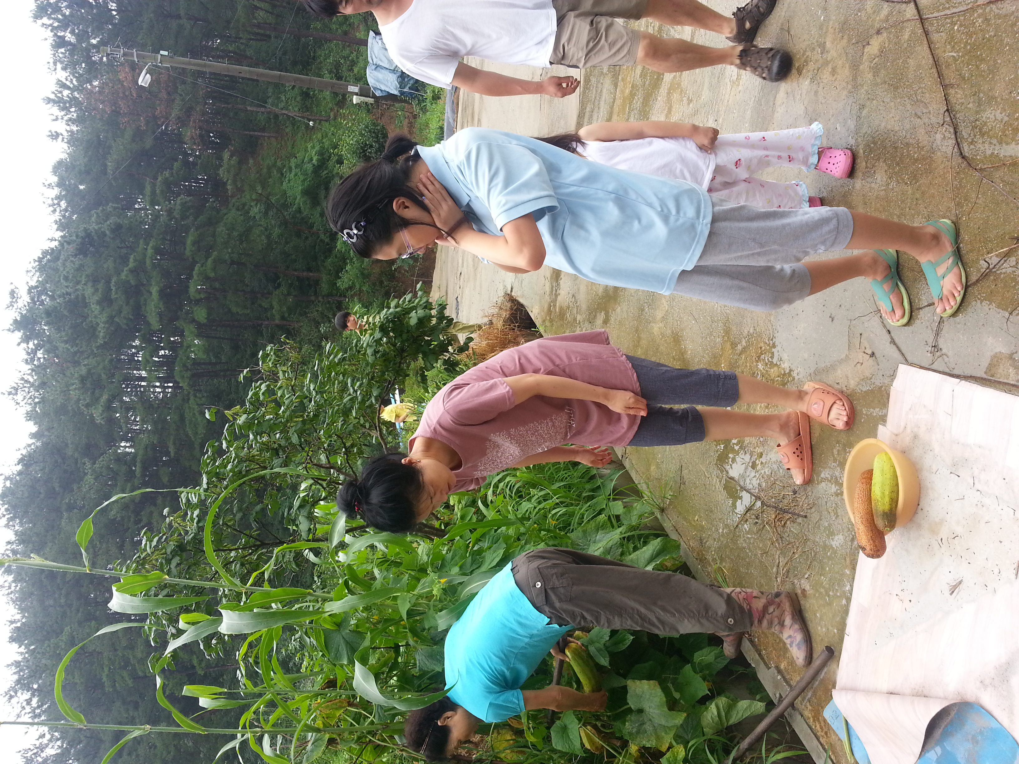 20130728_105434.jpg