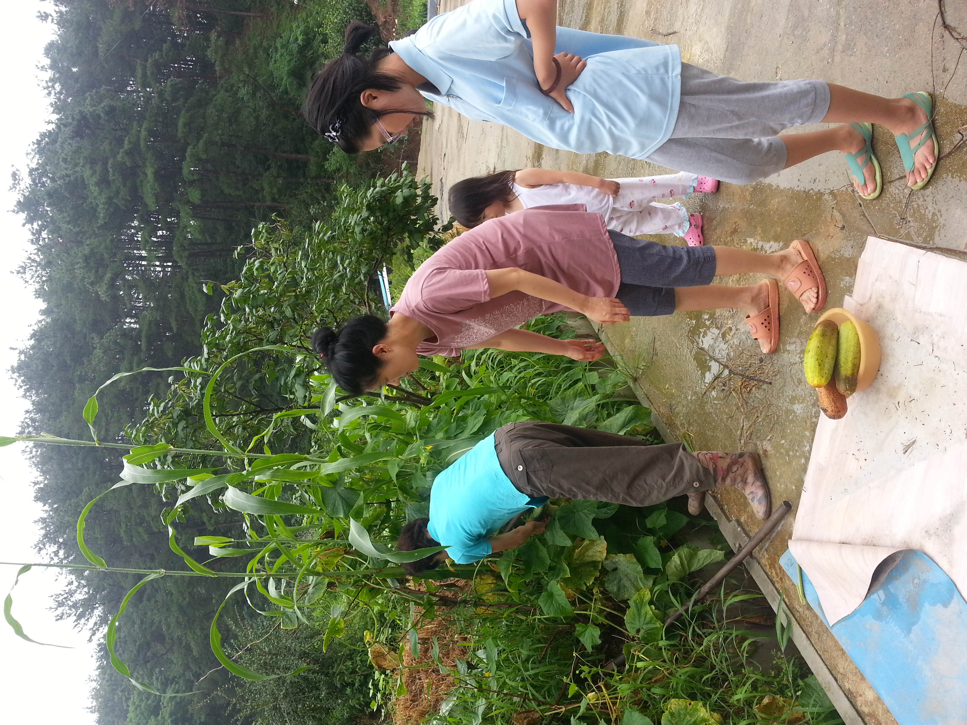 20130728_105440.jpg
