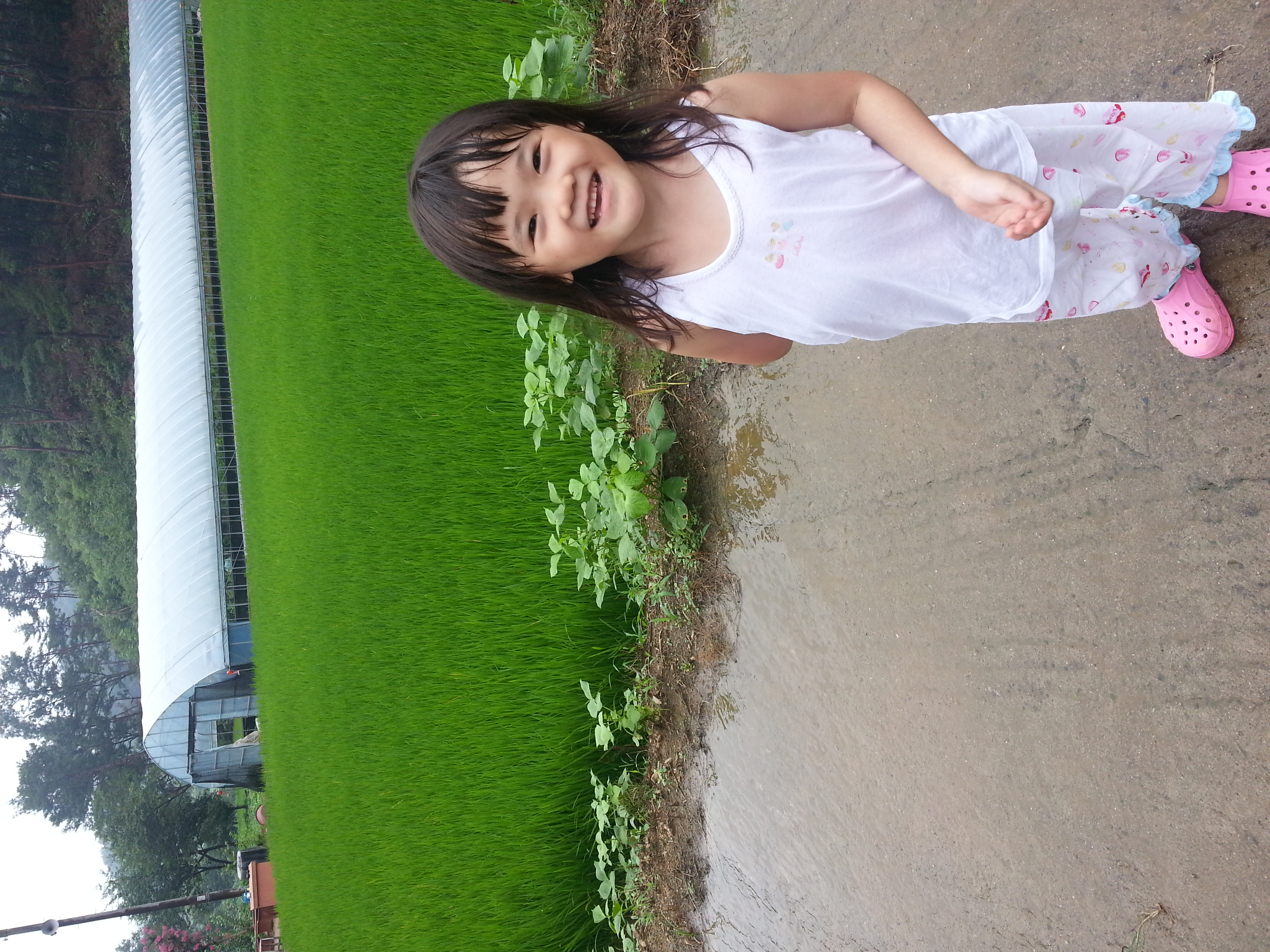 20130728_112650.jpg