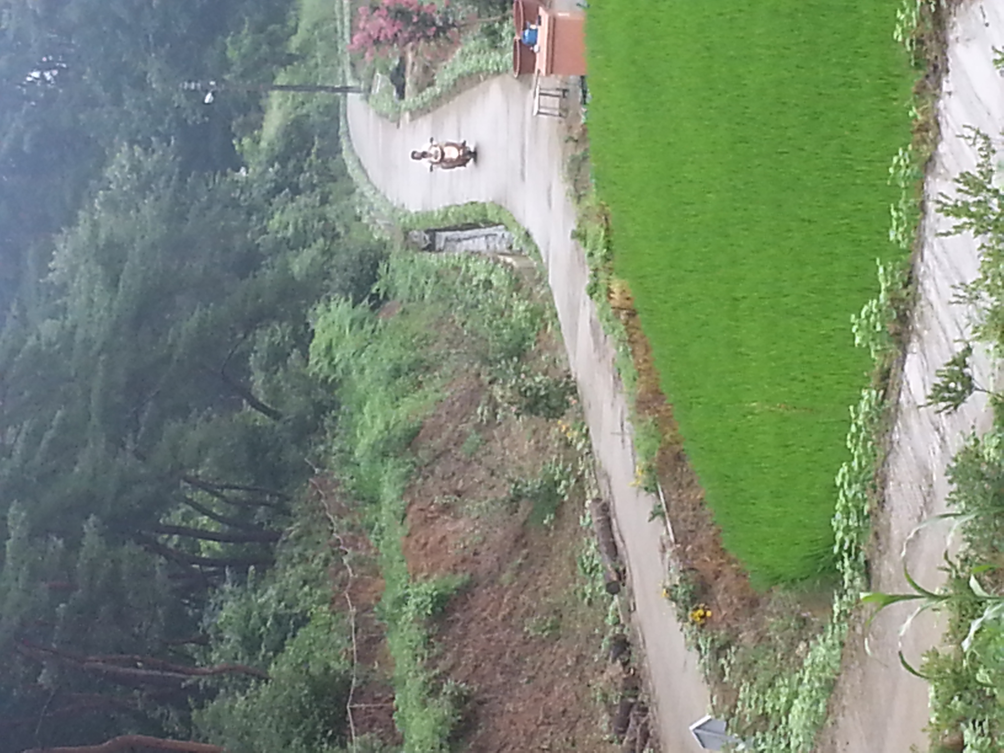 20130728_113135.jpg