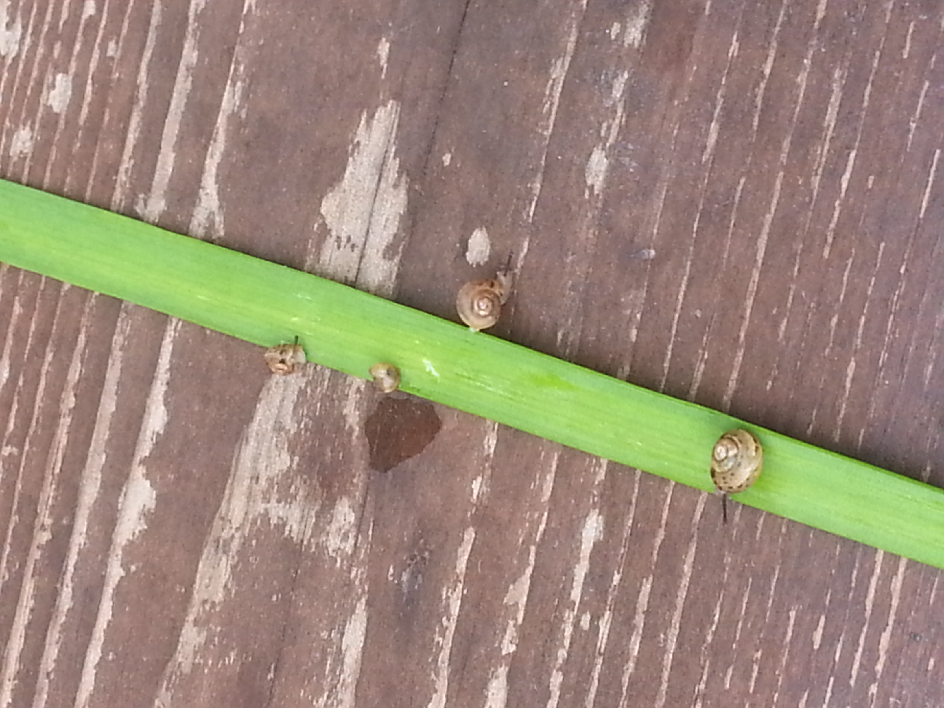 20130728_113206.jpg
