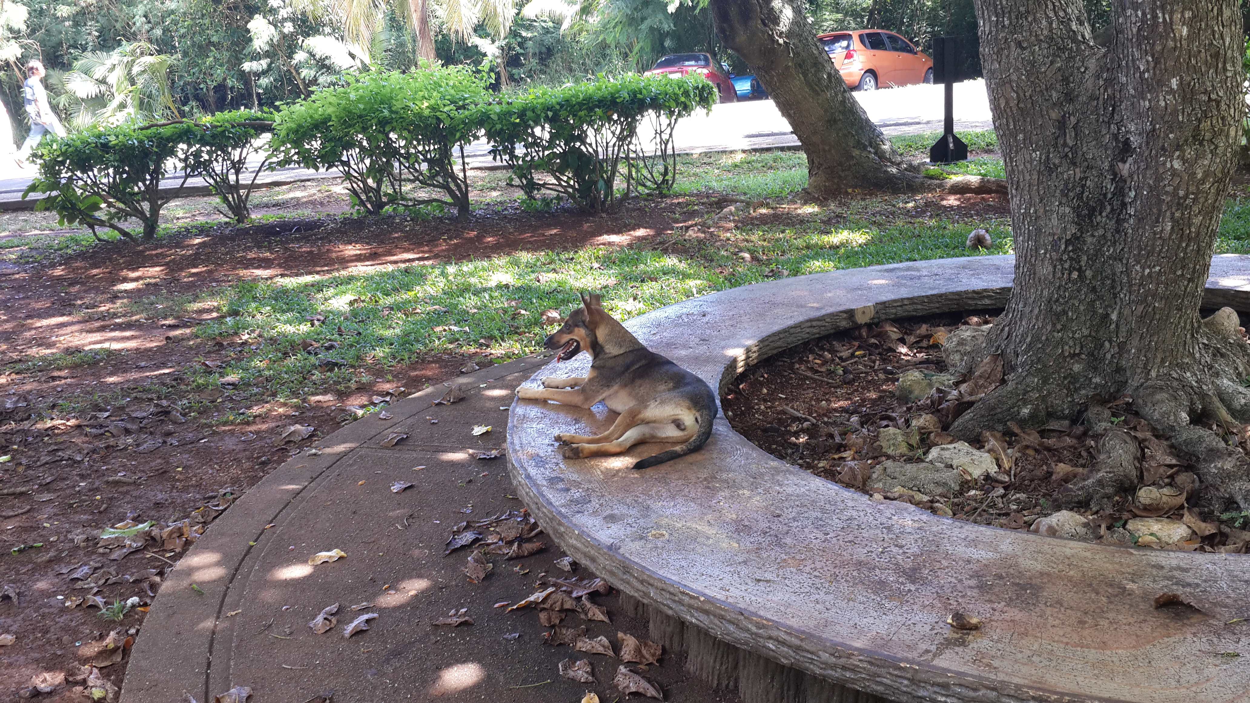 20130907_103025.jpg