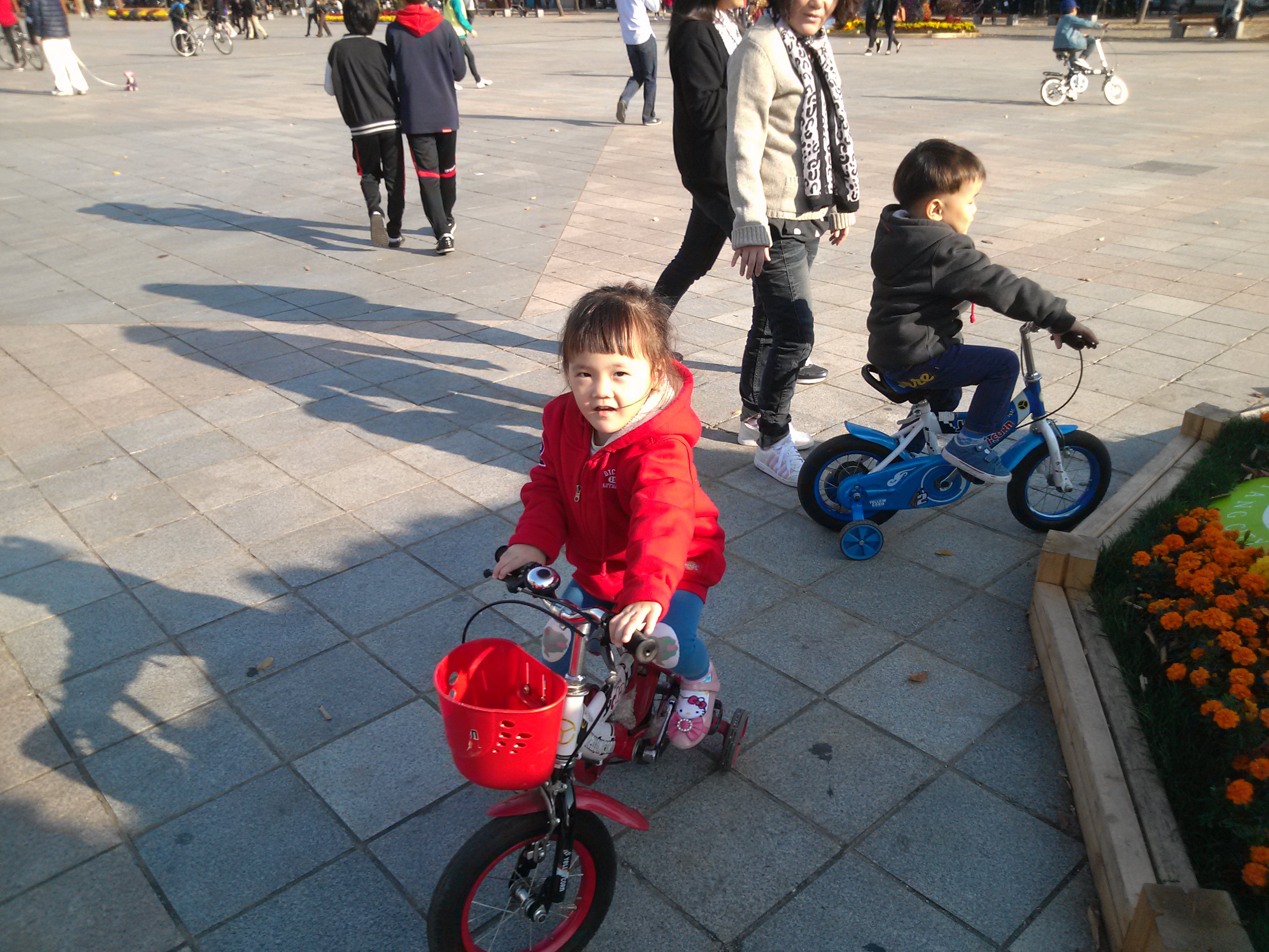 IMG009.jpg