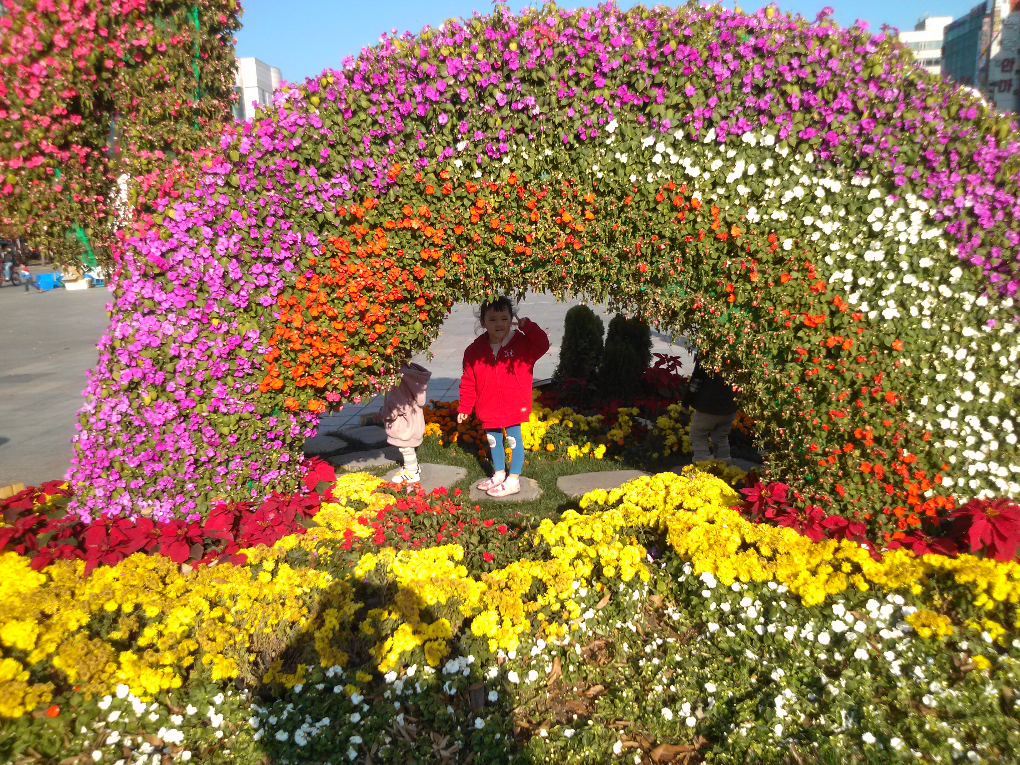 IMG015.jpg