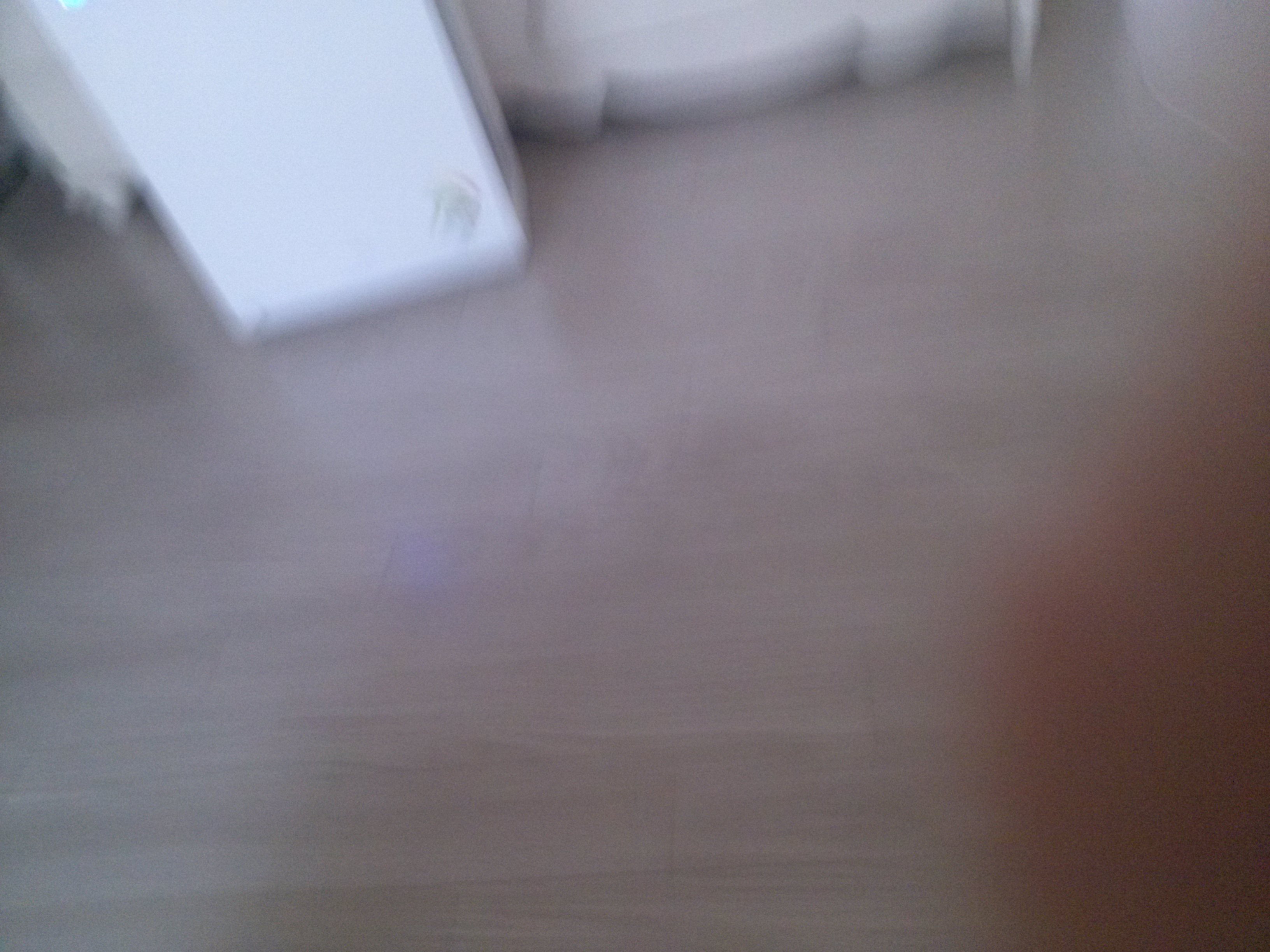 IMG142.jpg