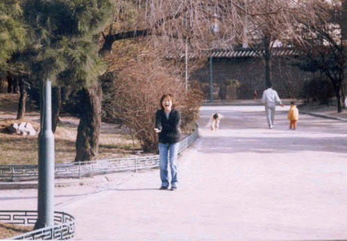 pic5.gif