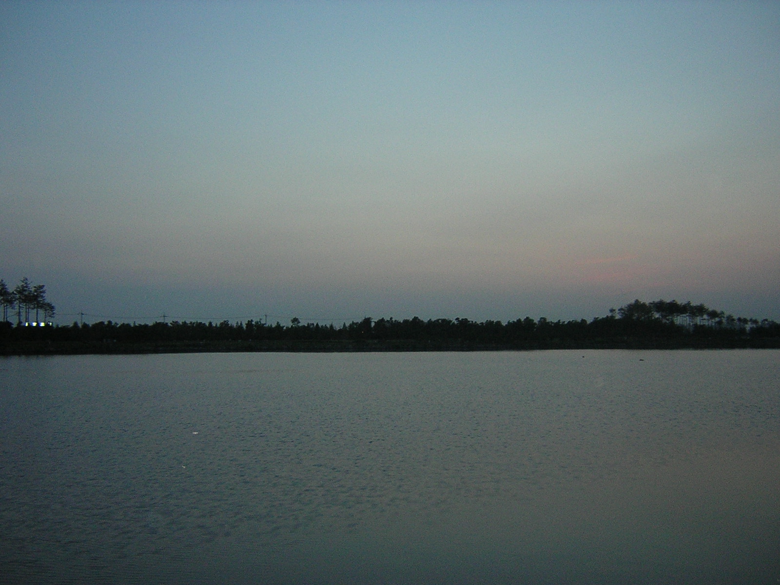2003-05-27-01.jpg