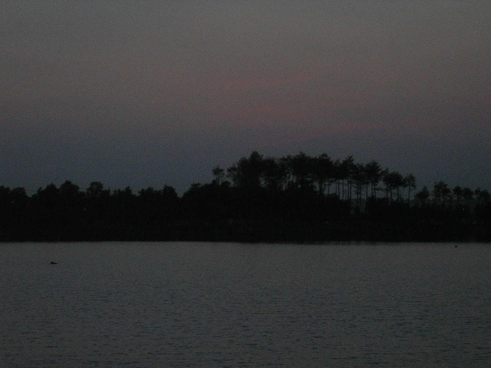 2003-05-27-02.jpg