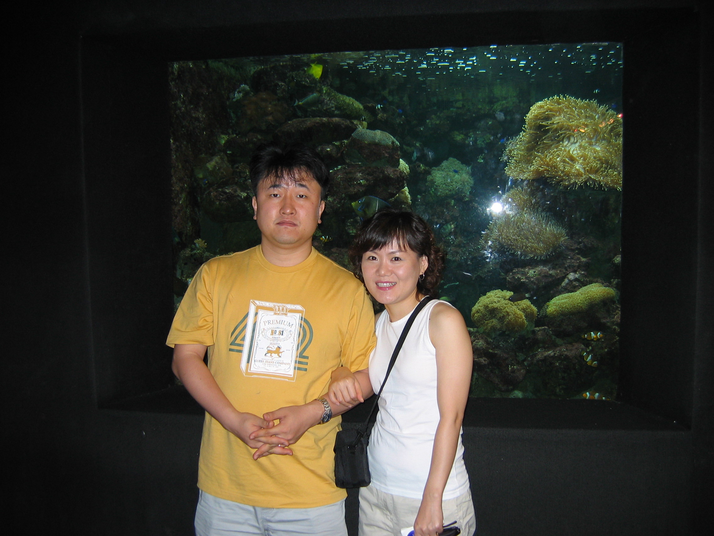 HoneyMoon_2004-07-04 18-07-03.jpg