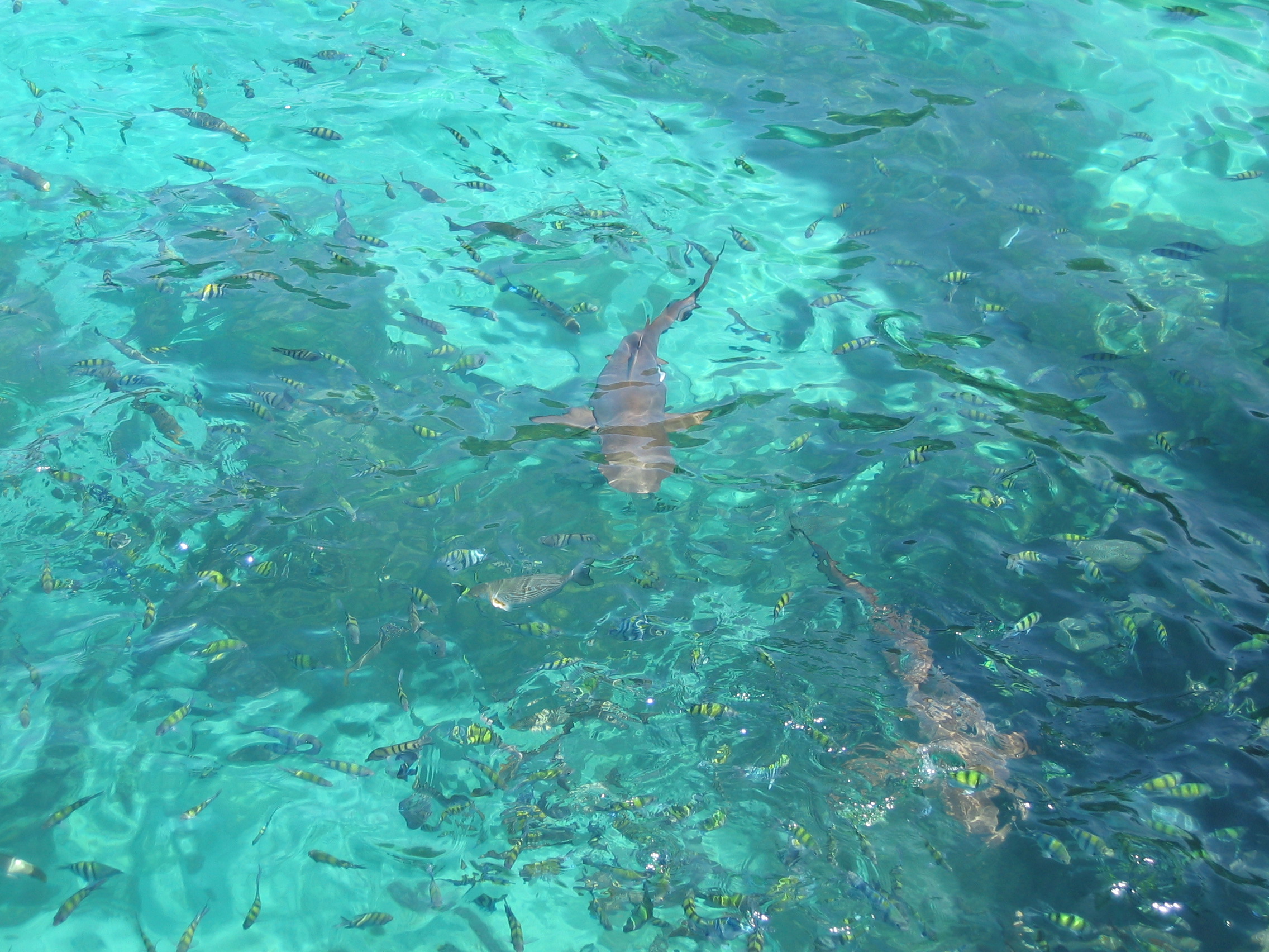HoneyMoon_2004-07-05 14-14-11.jpg