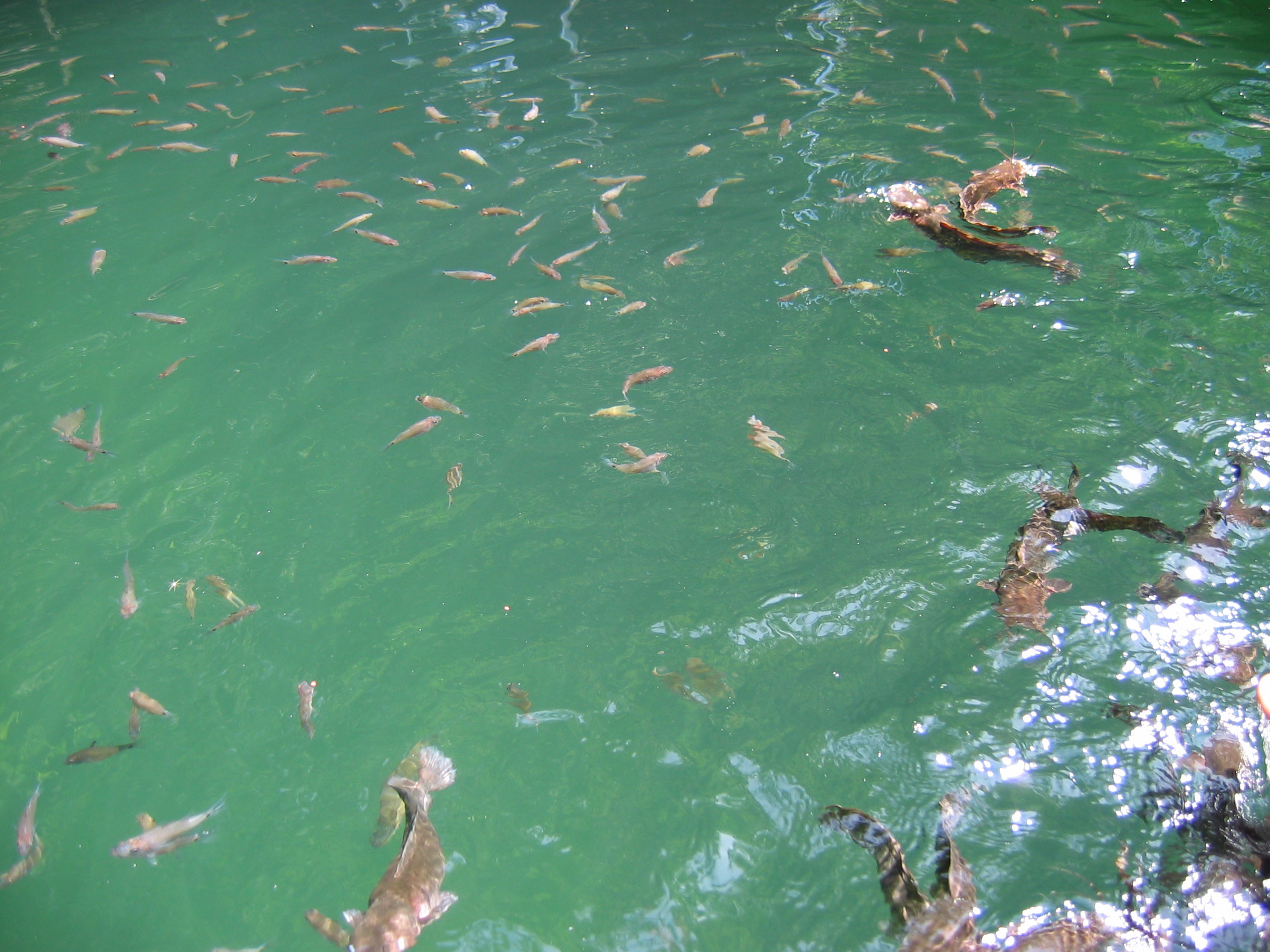HoneyMoon_2004-07-06 13-04-16.jpg