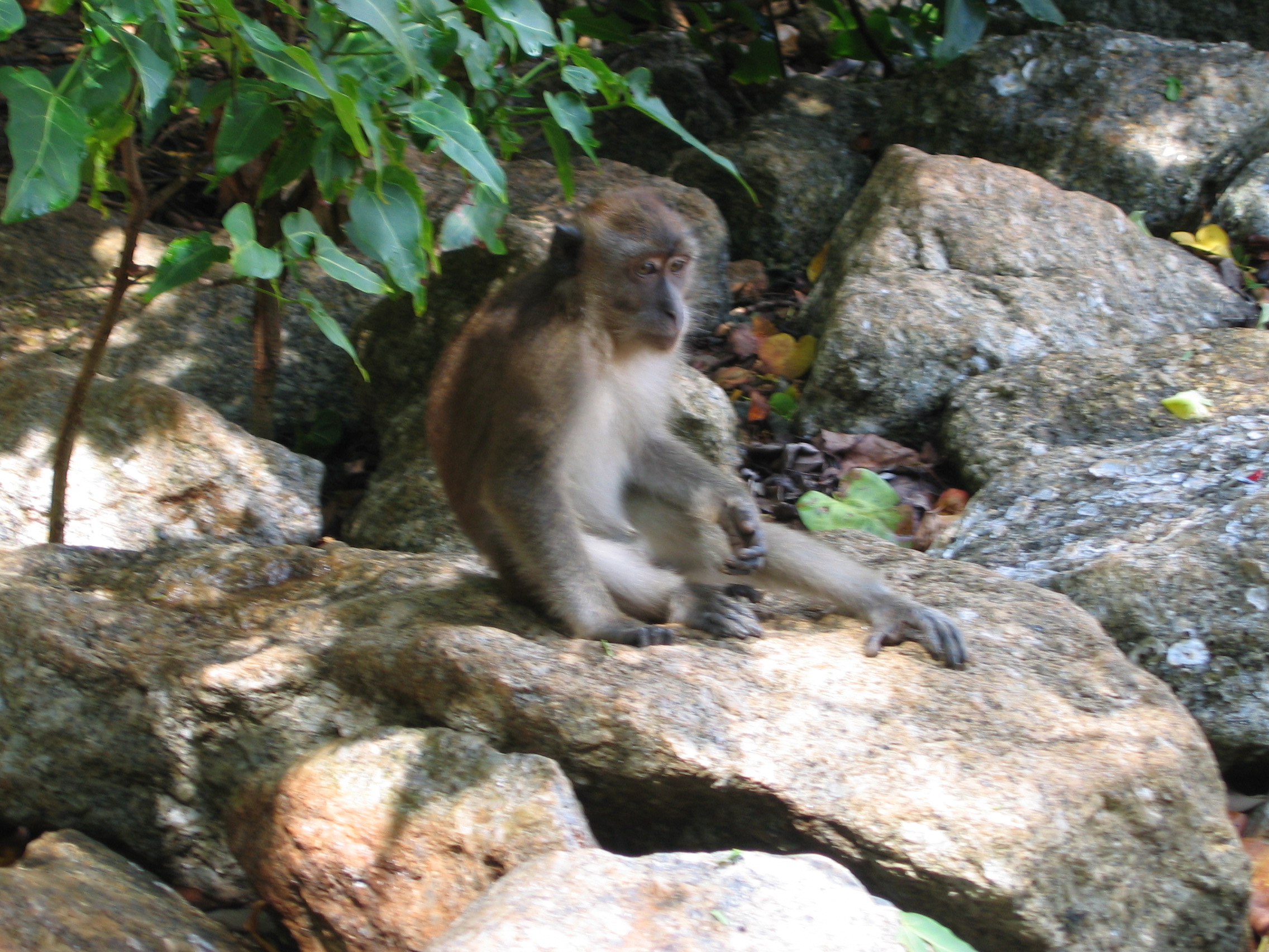 HoneyMoon_2004-07-06 13-21-34.jpg