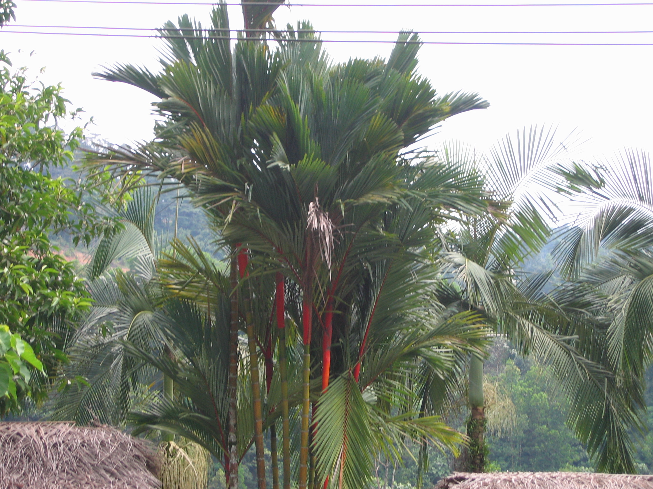 HoneyMoon_2004-07-07 16-47-06.jpg