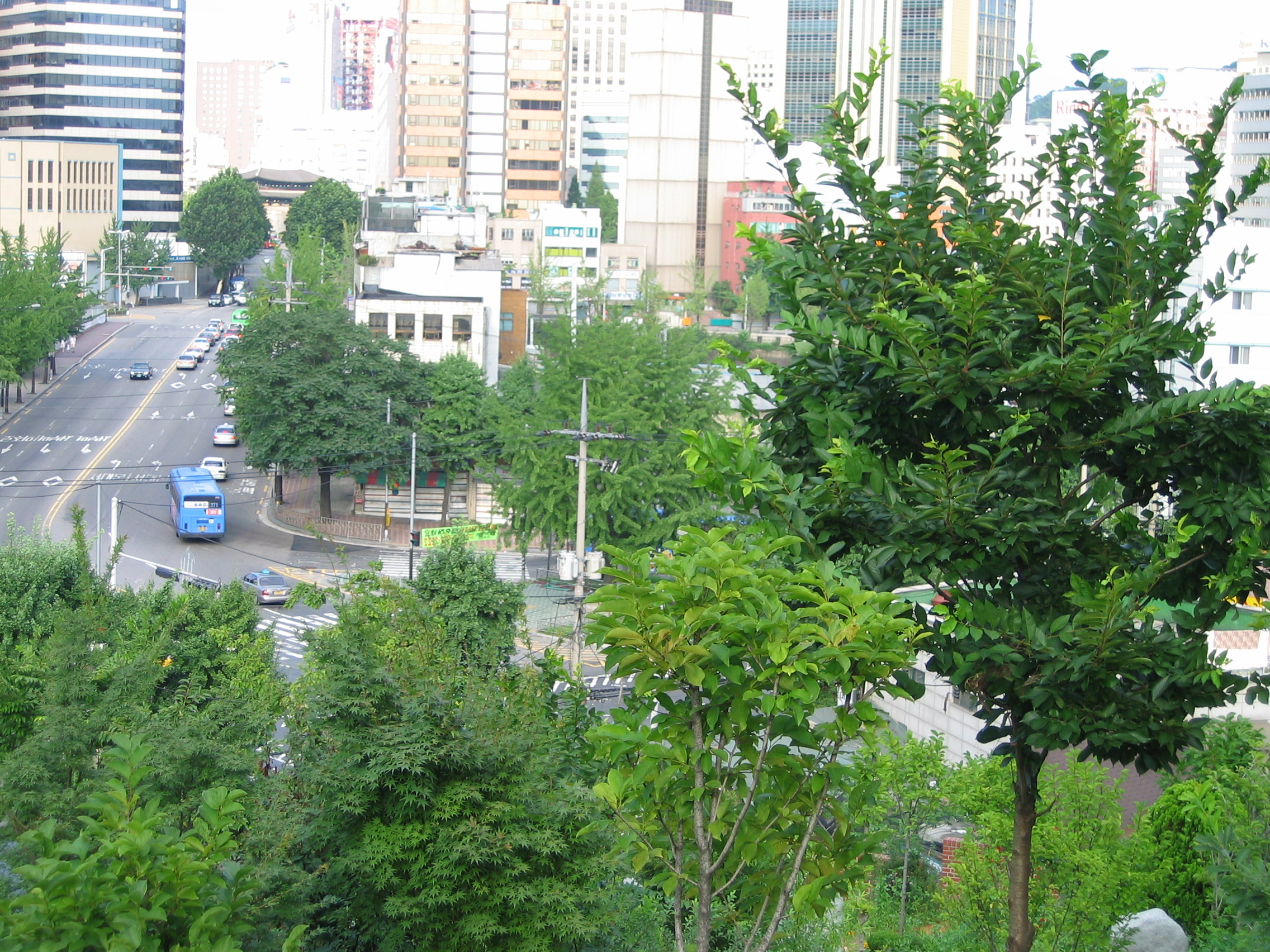 2004-08-01 17-44-51.jpg
