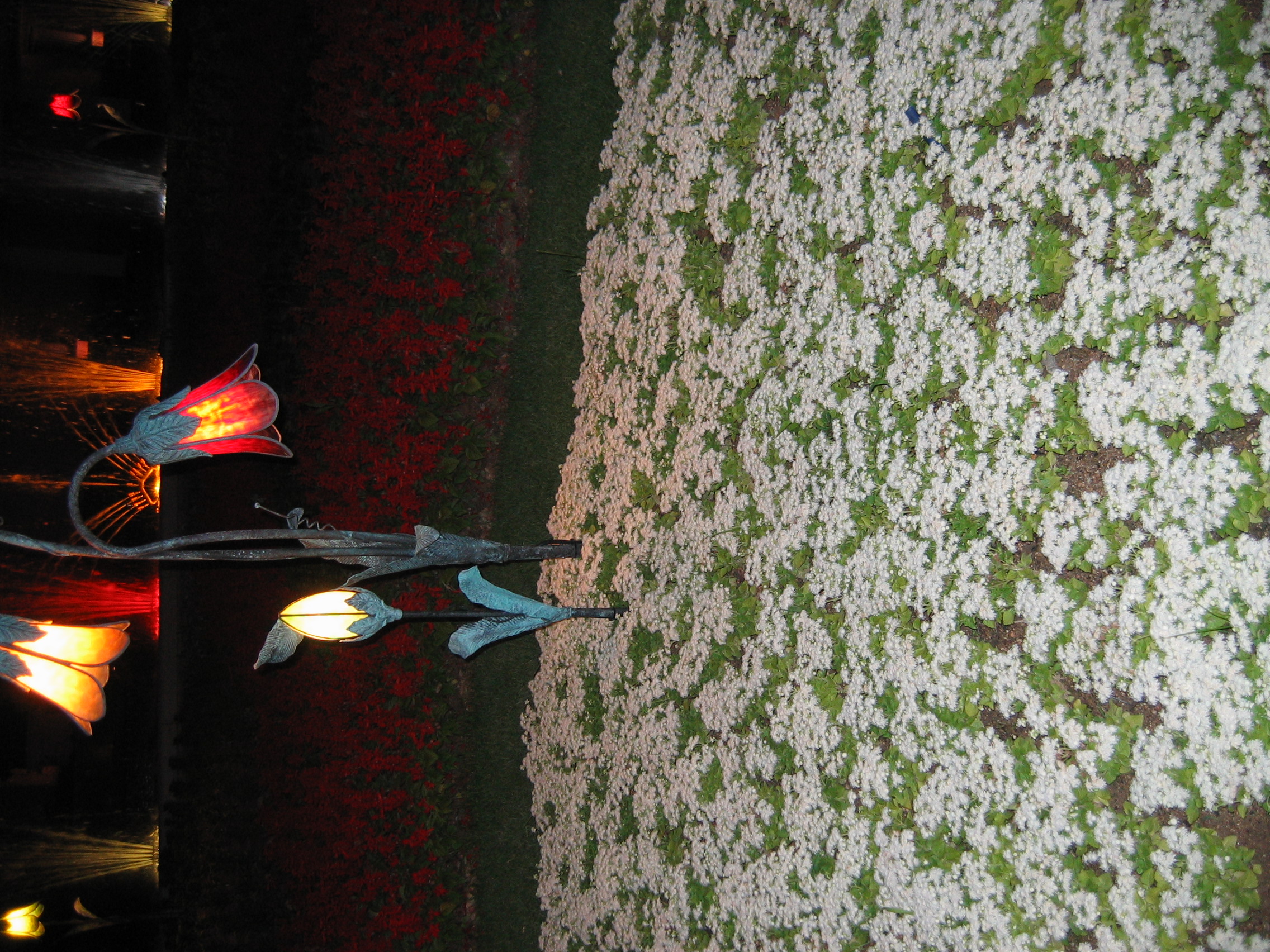 2005-06-11 오후 8-22-27.jpg
