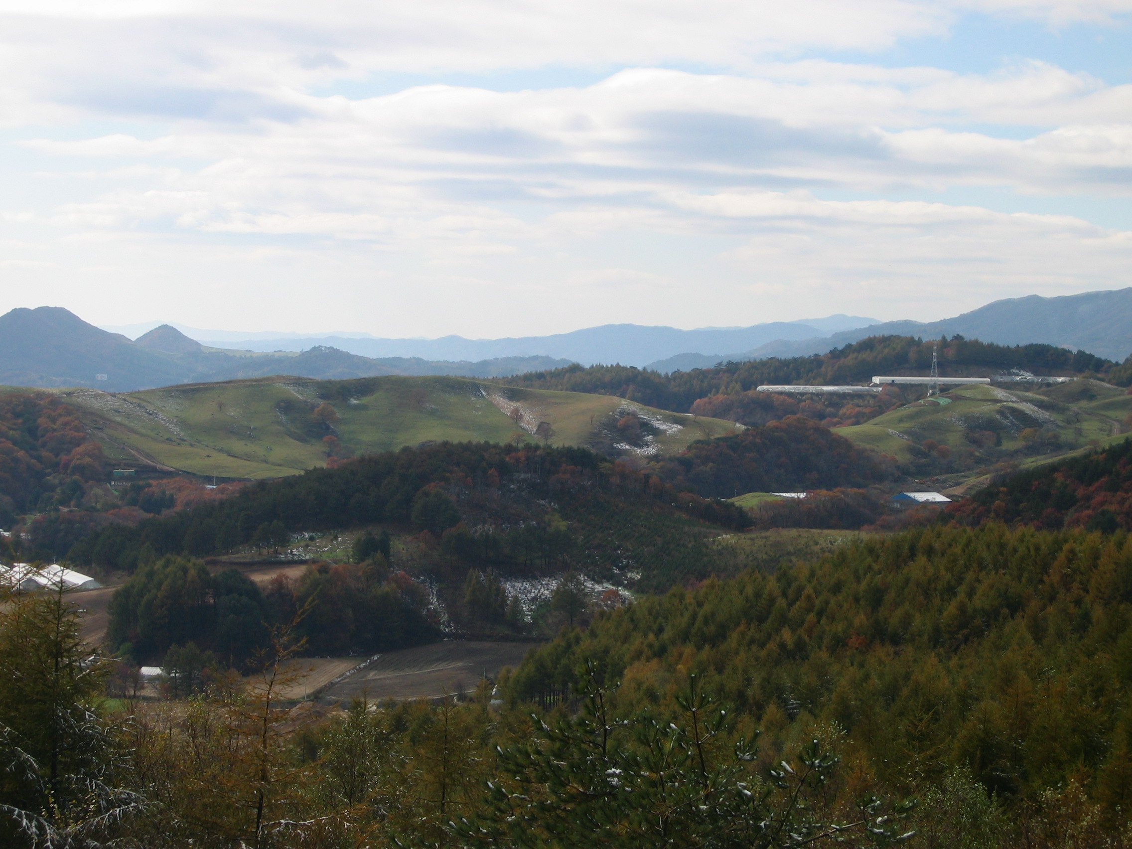 2005-10-22 오후 2-14-29-yangttae.JPG
