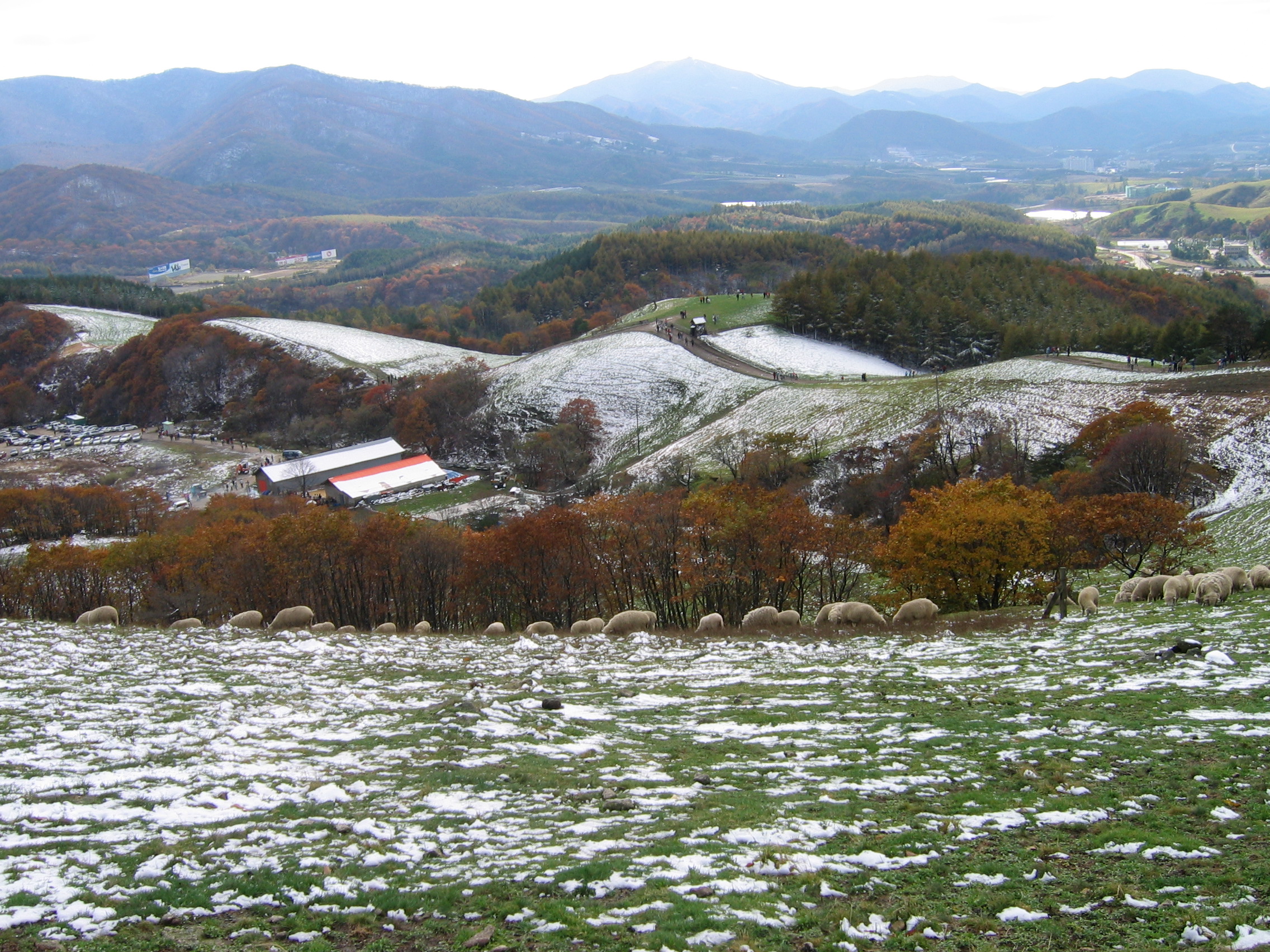 2005-10-22 오후 2-22-19-yangttae.JPG
