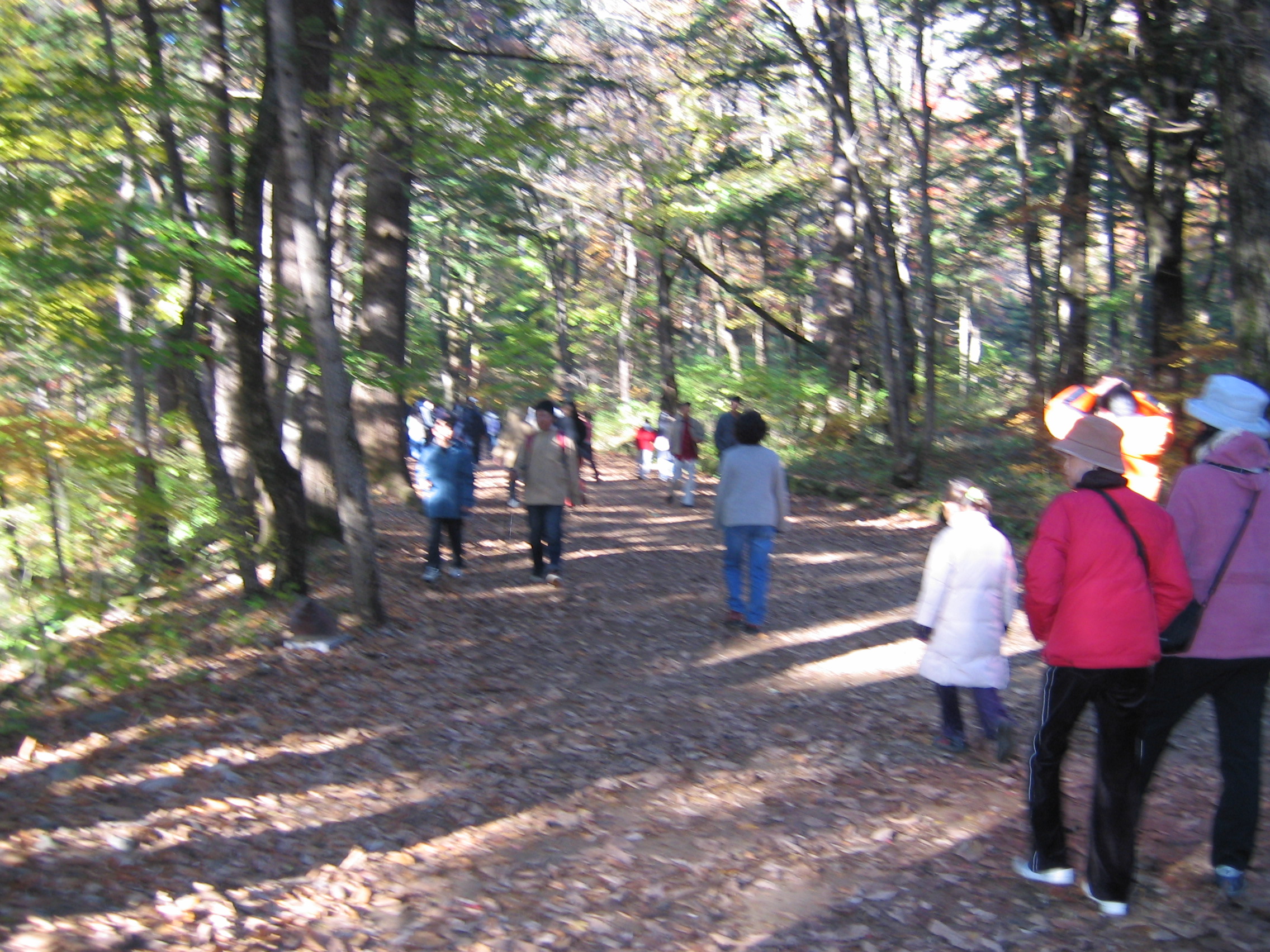 2005-10-22 오후 4-04-30-woljeongsa.JPG