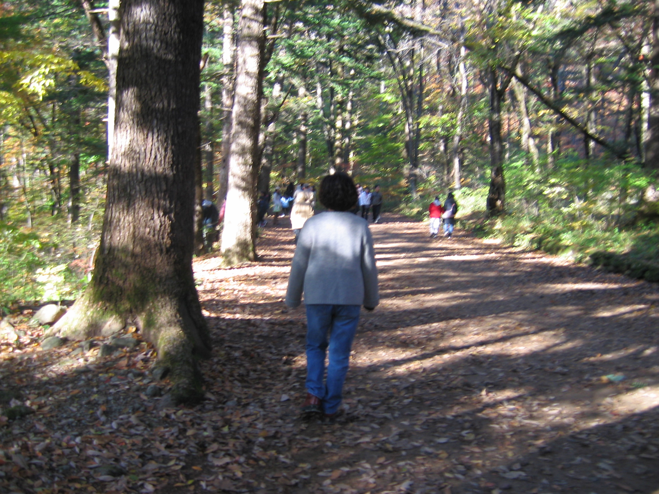 2005-10-22 오후 4-04-39-woljeongsa.JPG