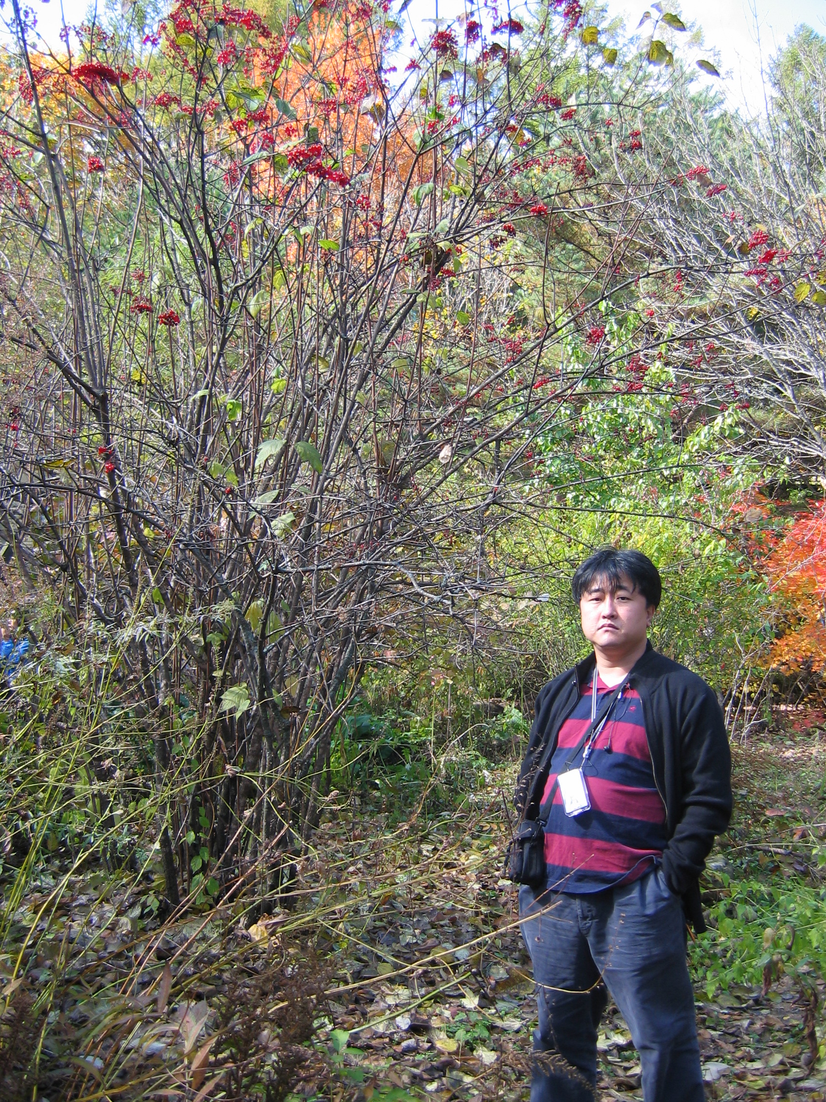 사본 - 2005-10-22 오전 11-06-14-herb.JPG