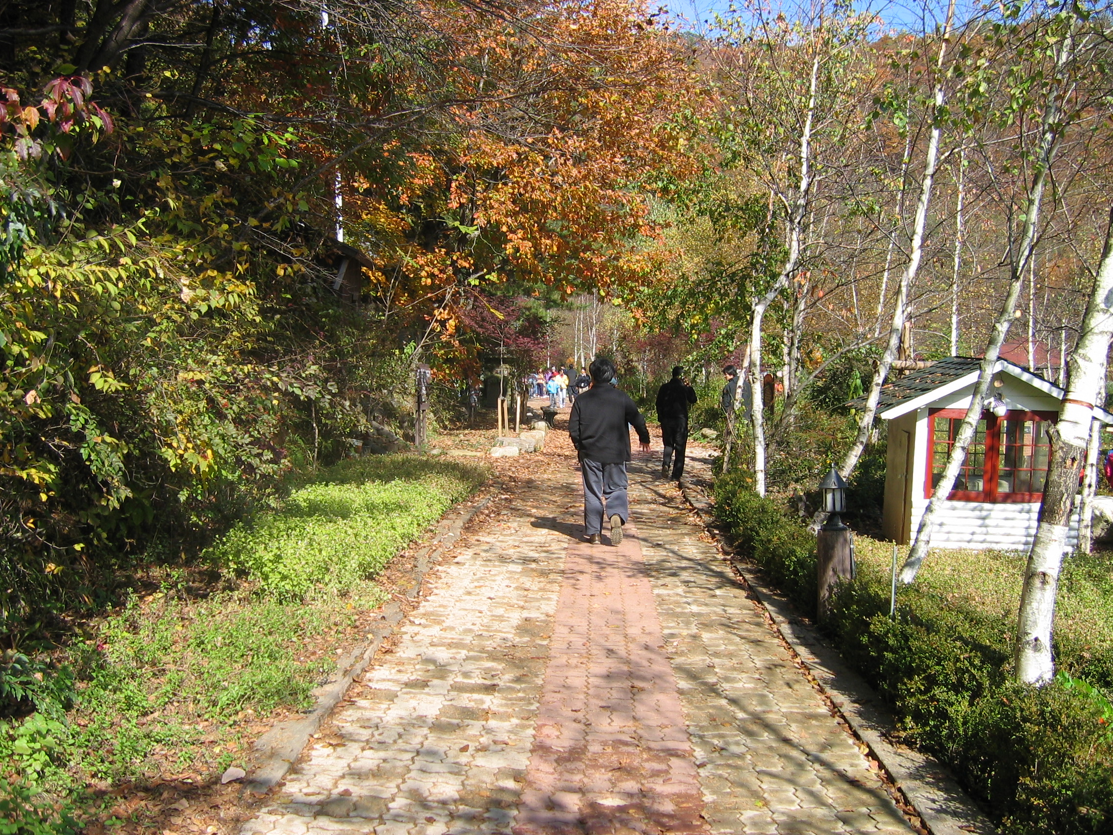 2005-10-22 오전 11-23-22-herb.JPG
