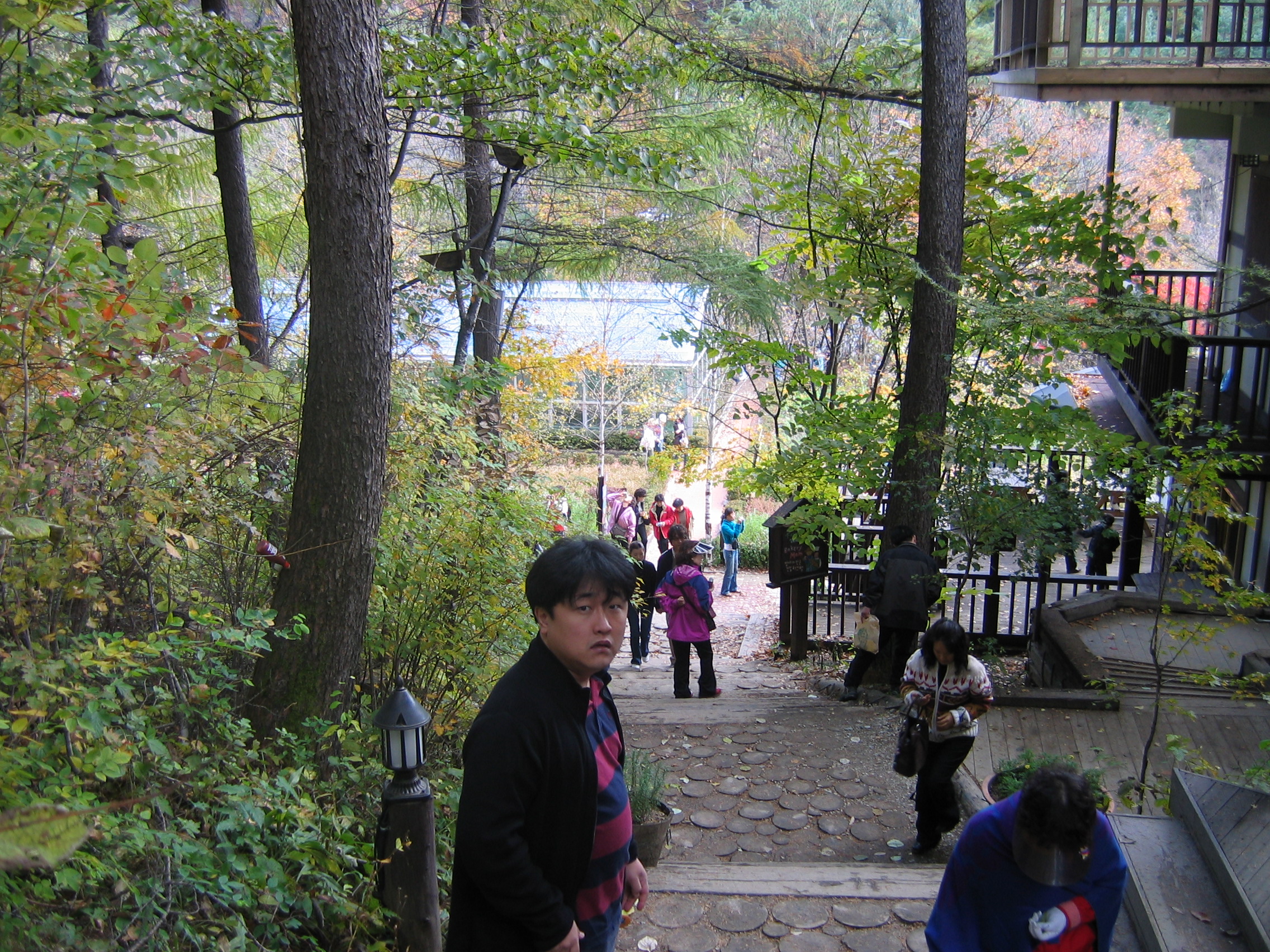 2005-10-22 오전 11-37-32-herb.JPG