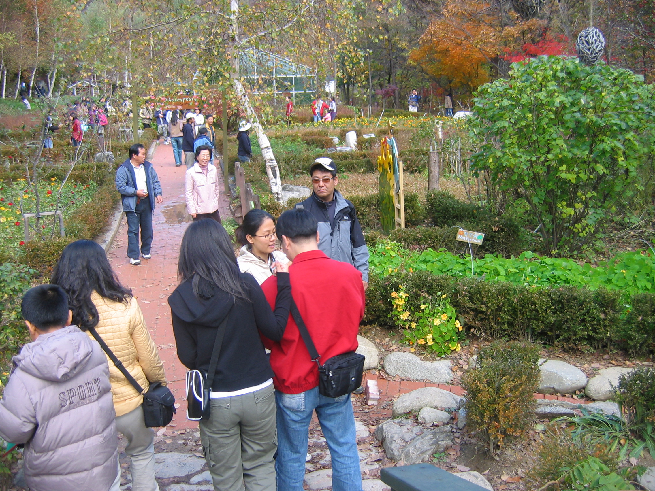 2005-10-22 오전 11-41-31-herb.JPG