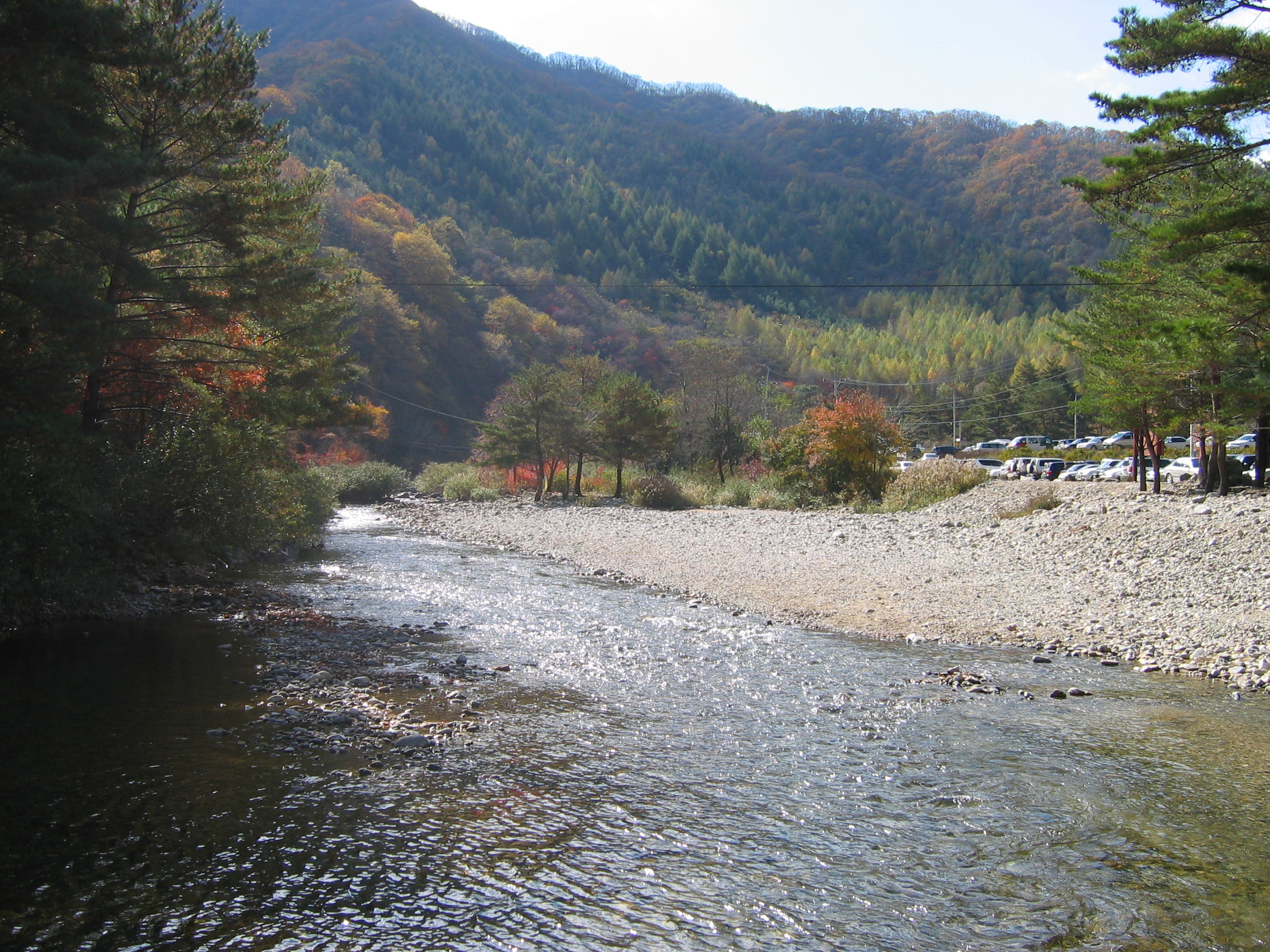 2005-10-22 오후 12-00-03-herb.JPG