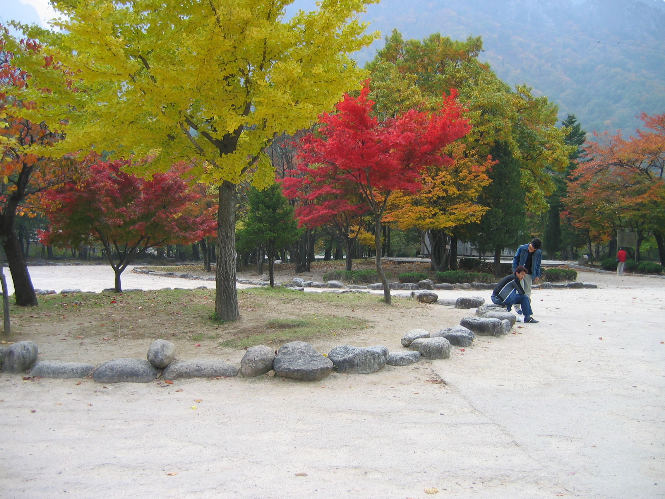 2005-10-28 오후 12-29-59.JPG