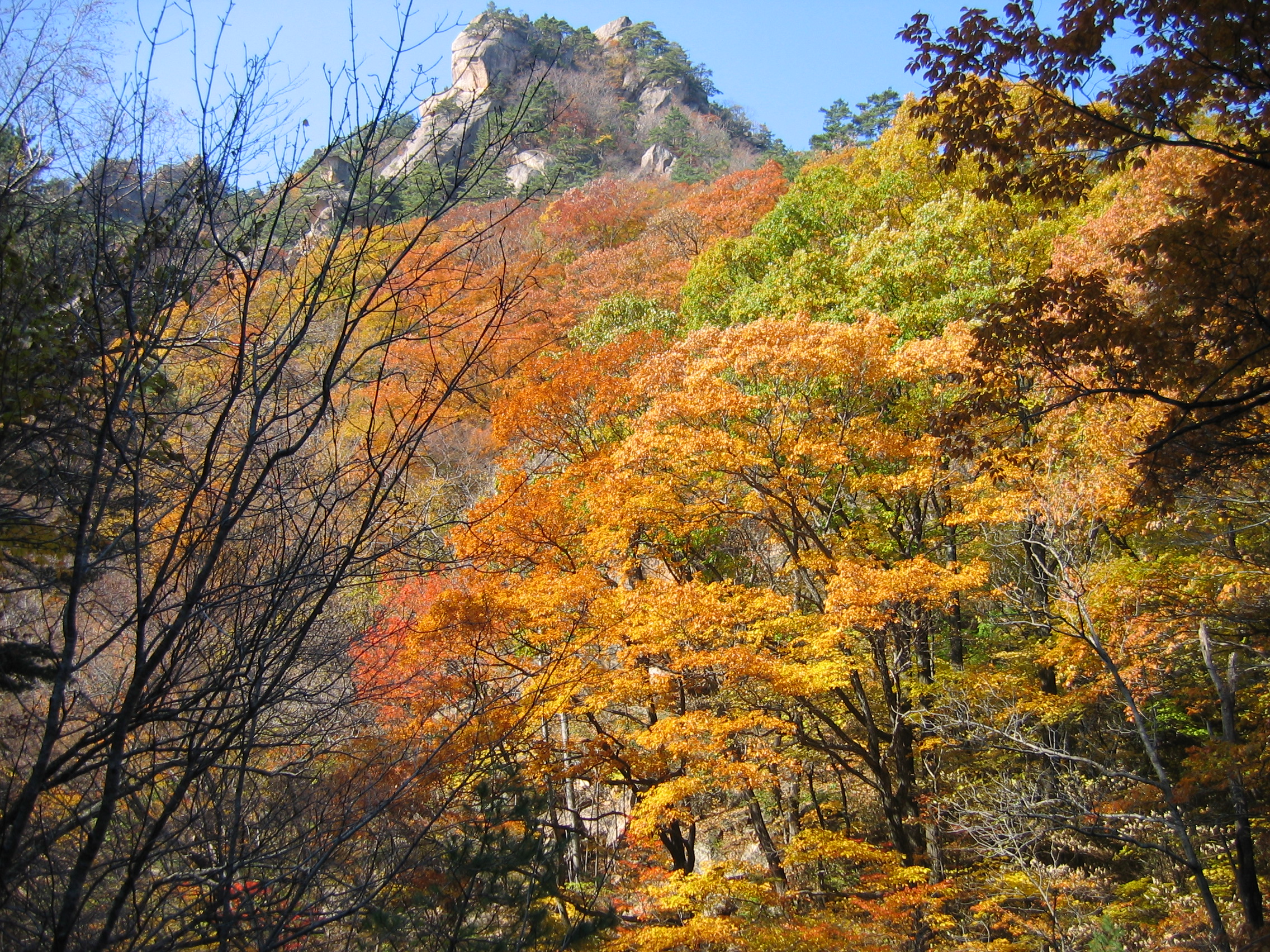 2005-10-29 오전 10-56-50.JPG