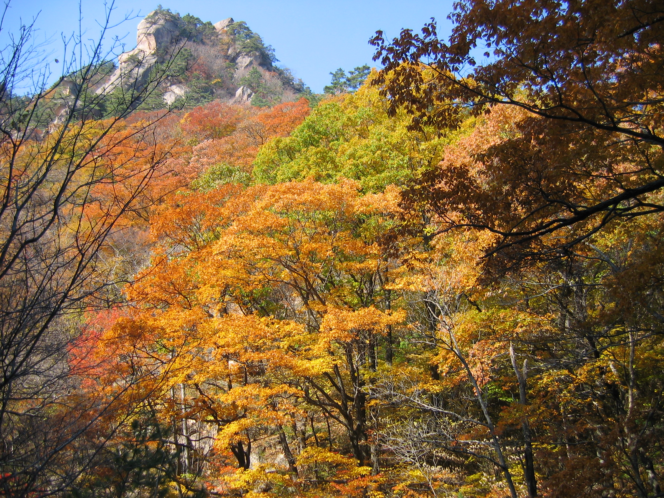 2005-10-29 오전 10-56-58.JPG