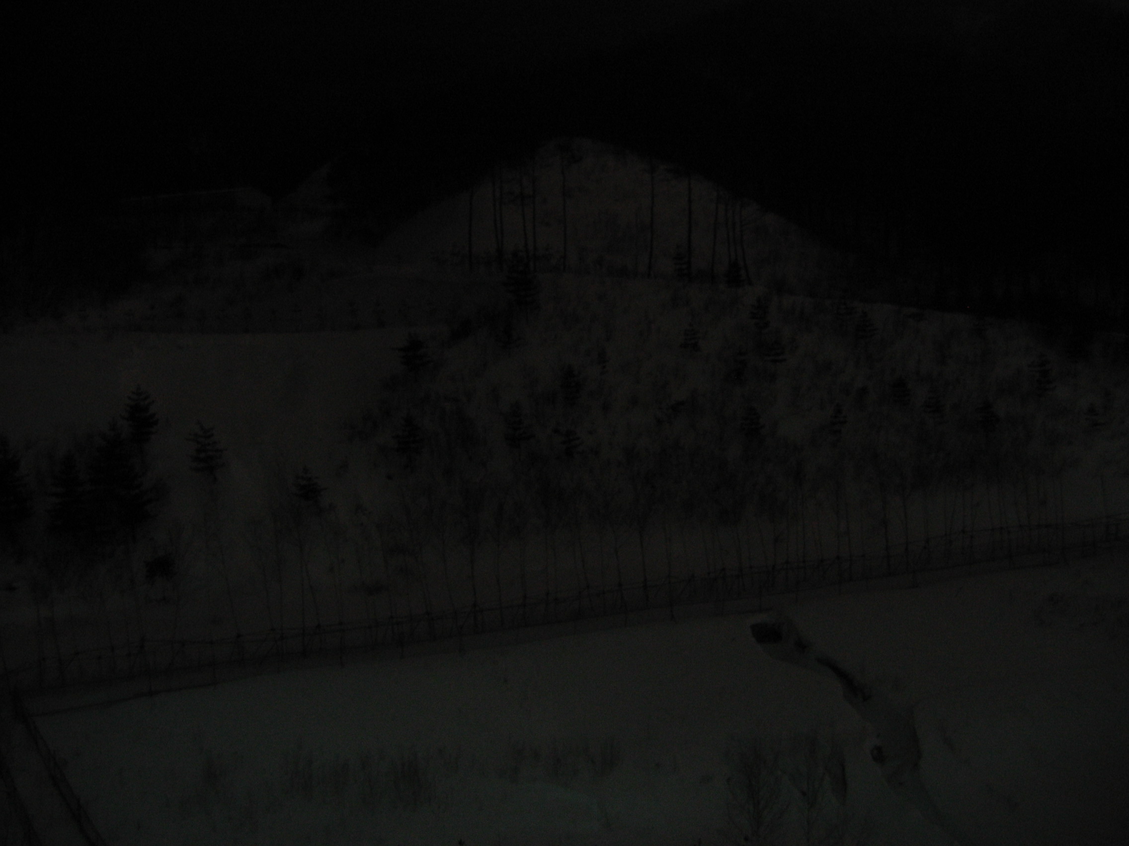 2006-02-11 오전 2-50-53-휘팍보드-022.jpg