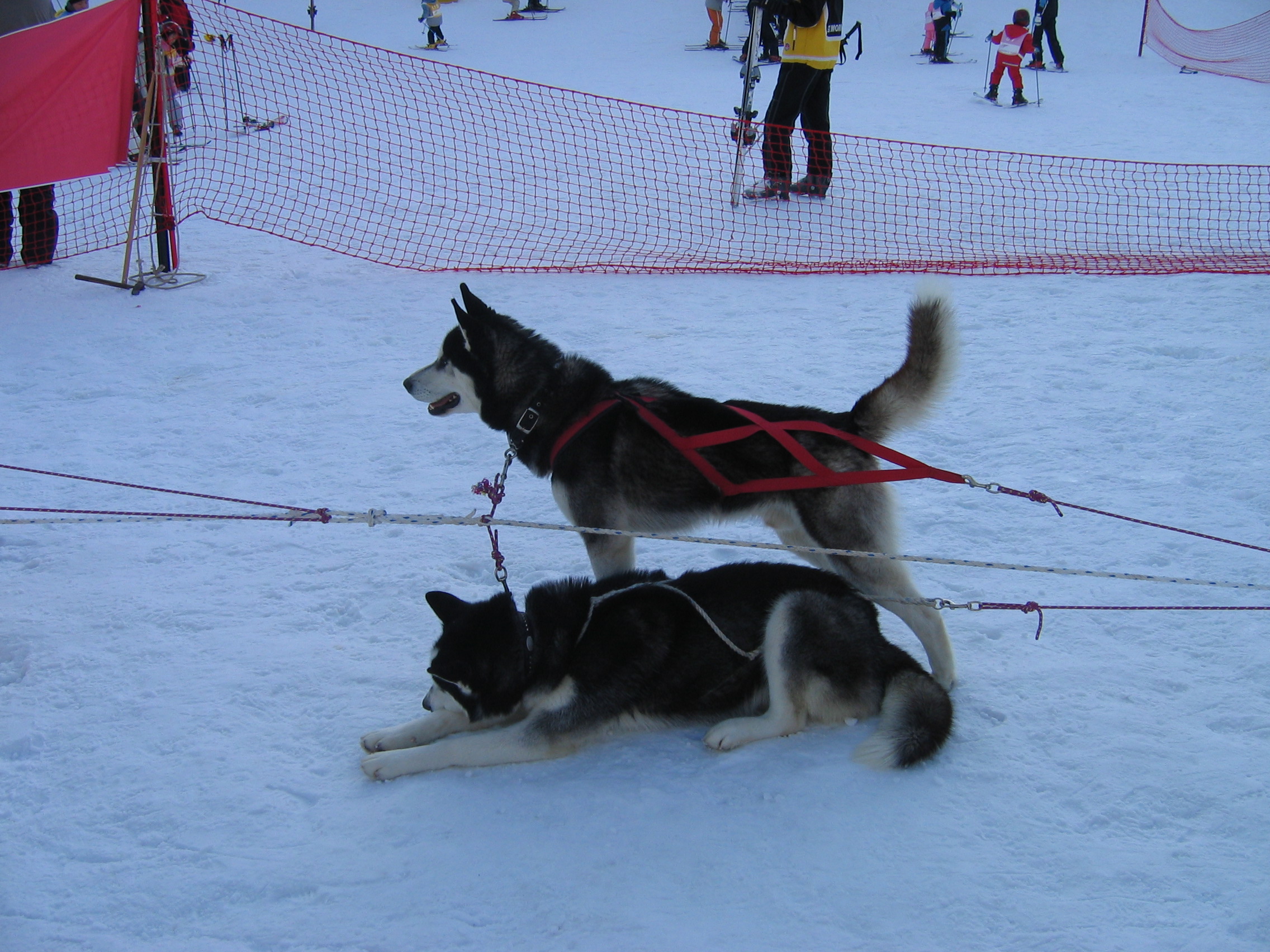 2006-02-11 오후 3-52-40-휘팍보드-027.jpg