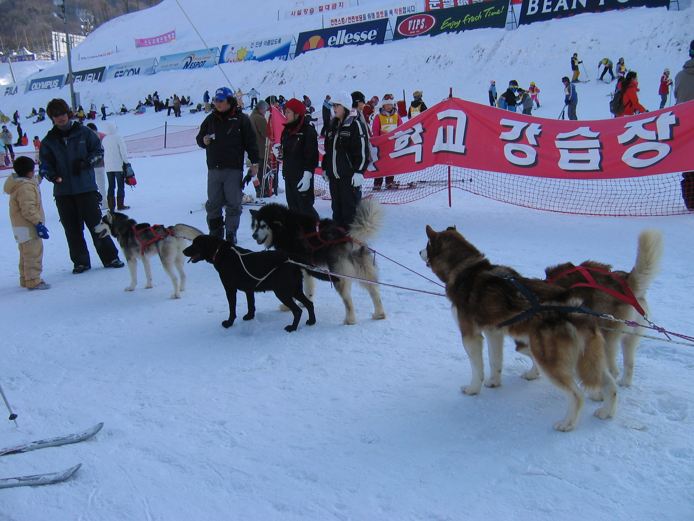 2006-02-11 오후 3-52-47-휘팍보드-028.jpg