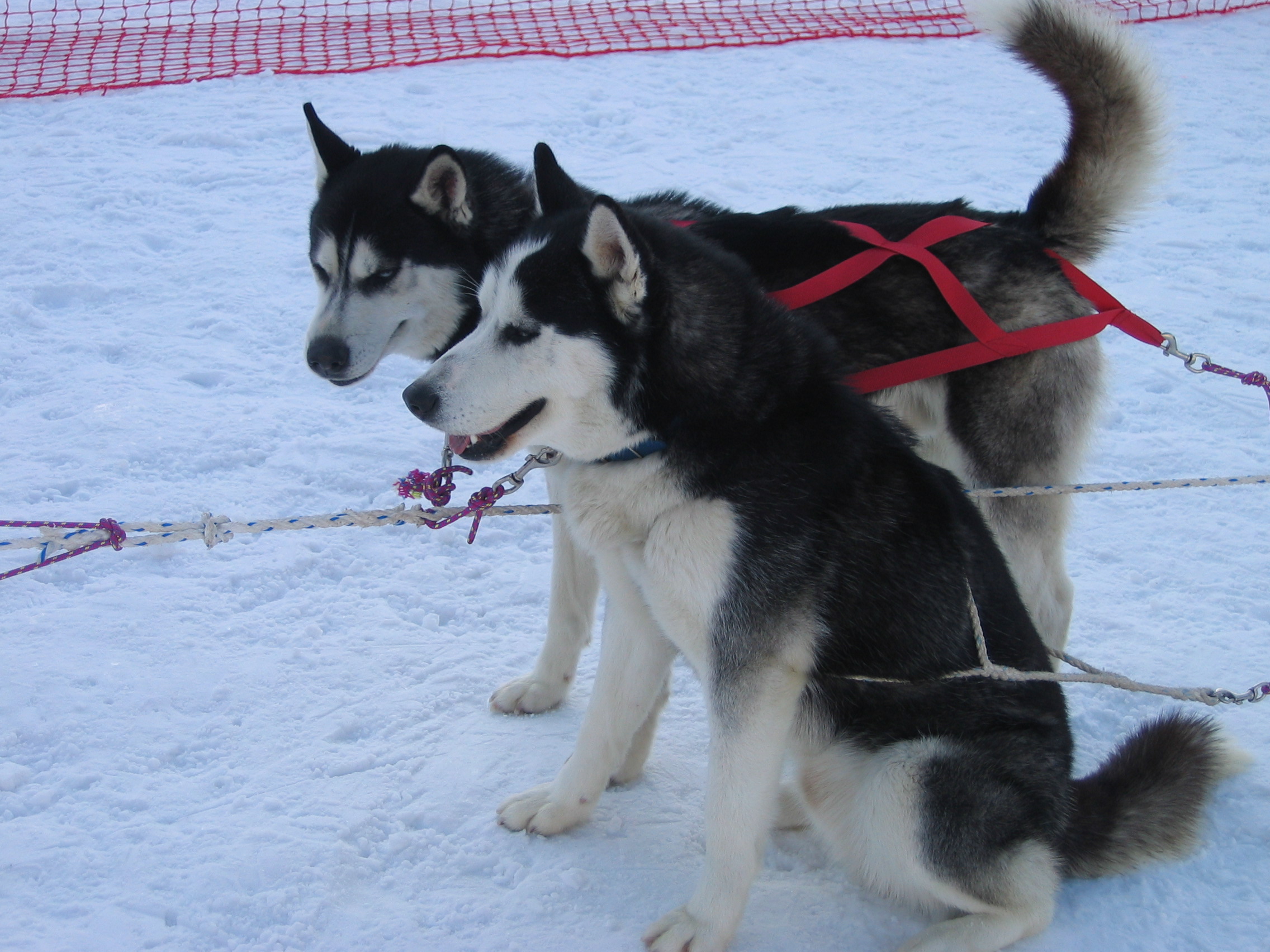 2006-02-11 오후 4-07-38-휘팍보드-044.jpg