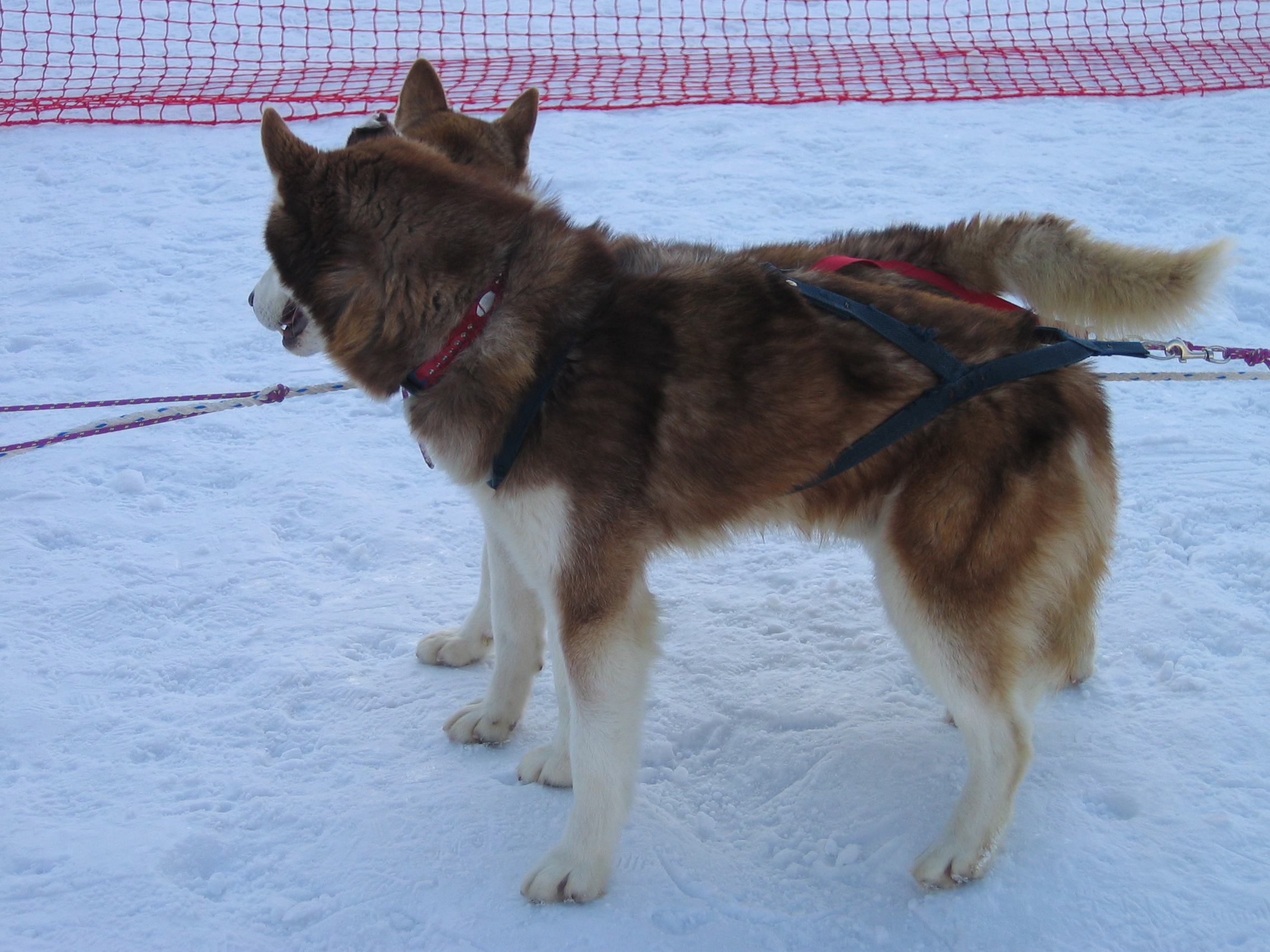 2006-02-11 오후 4-07-46-휘팍보드-045.jpg