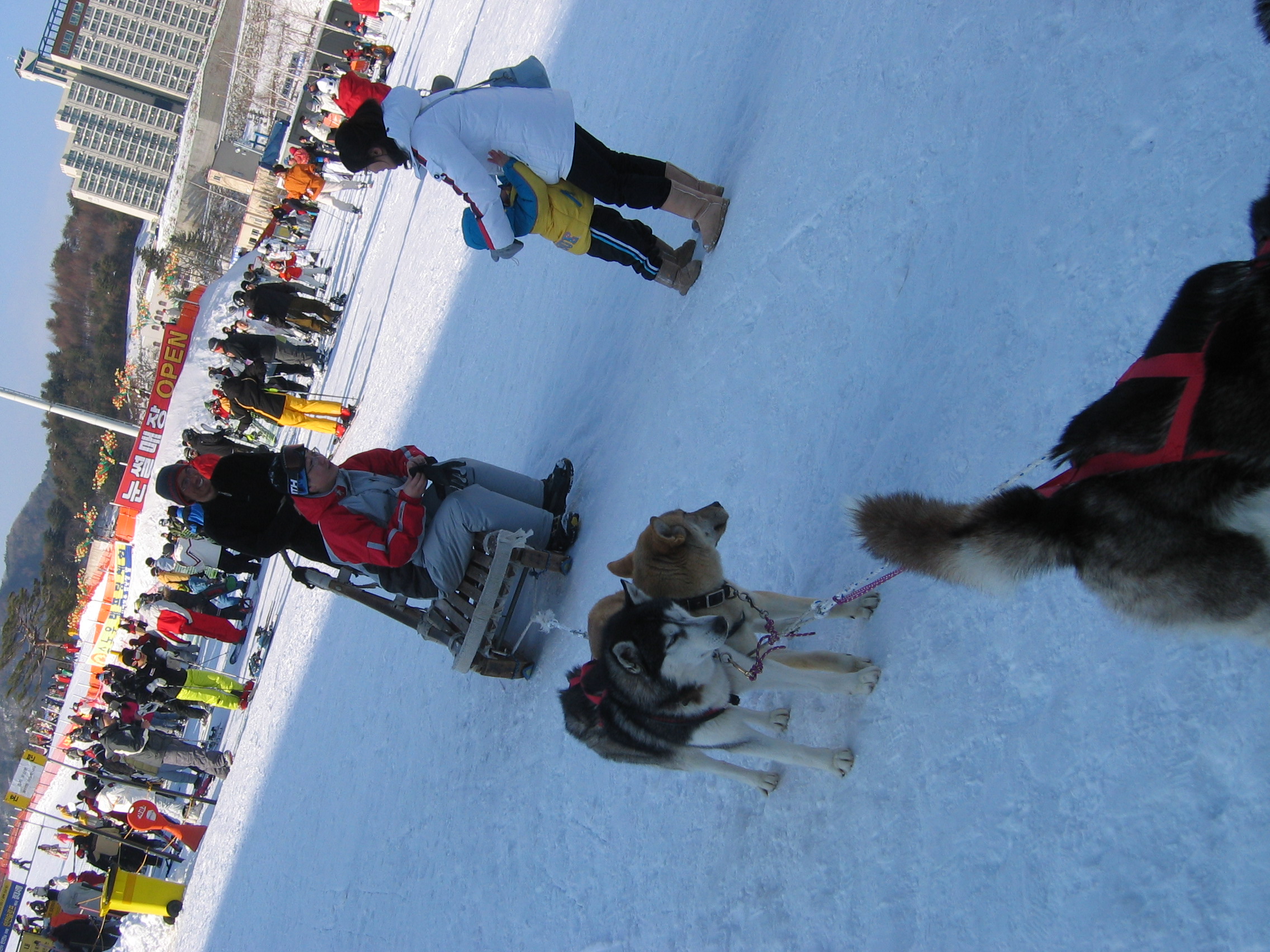 2006-02-11 오후 4-17-50-휘팍보드-049.jpg