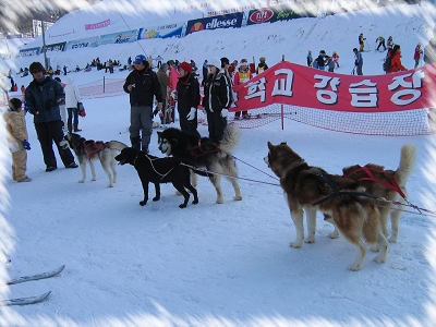 cy_사진 027.JPG