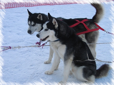 cy_사진 043.JPG