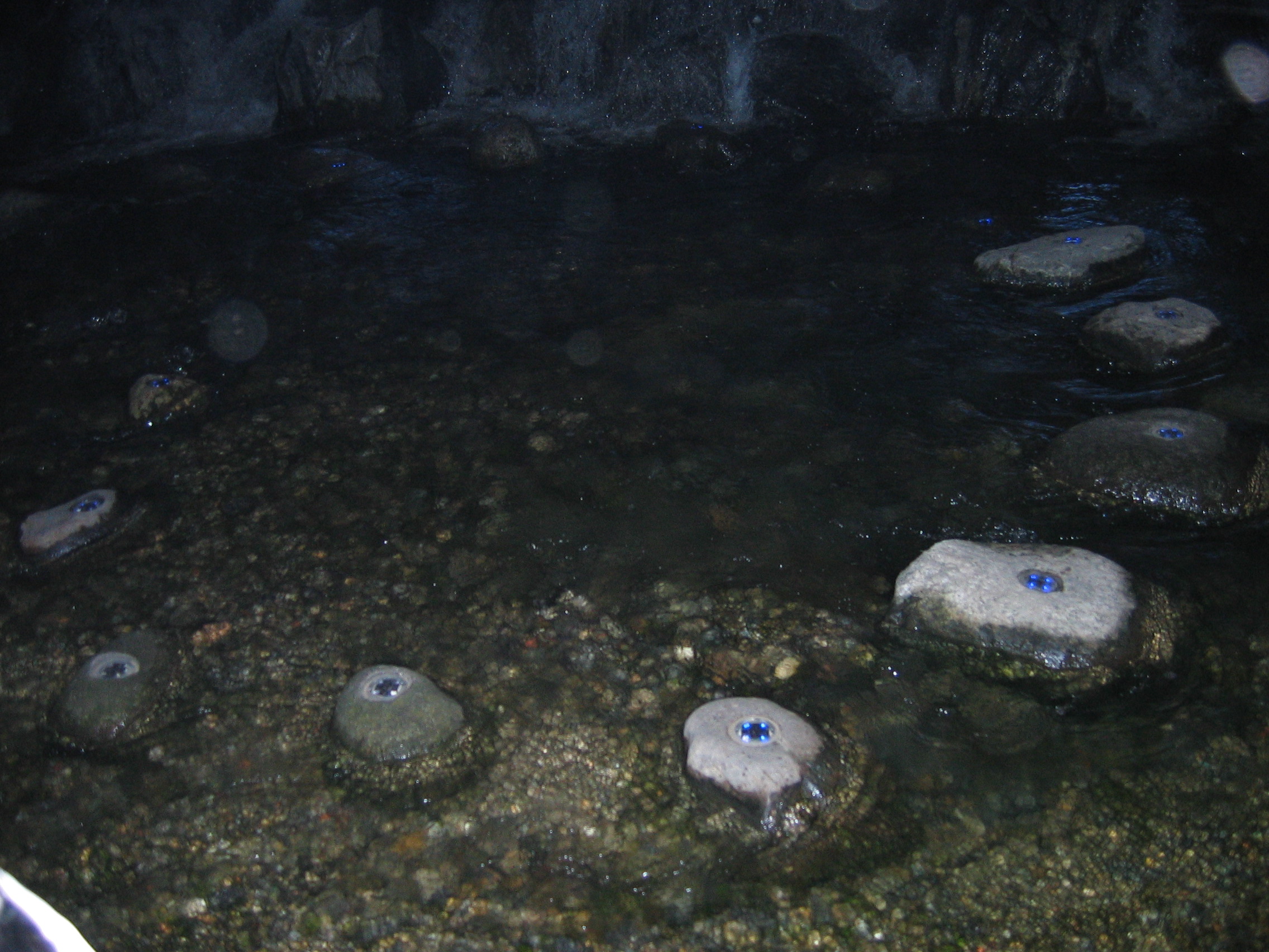 2006-04-30 오후 8-41-11-청계천-037.JPG