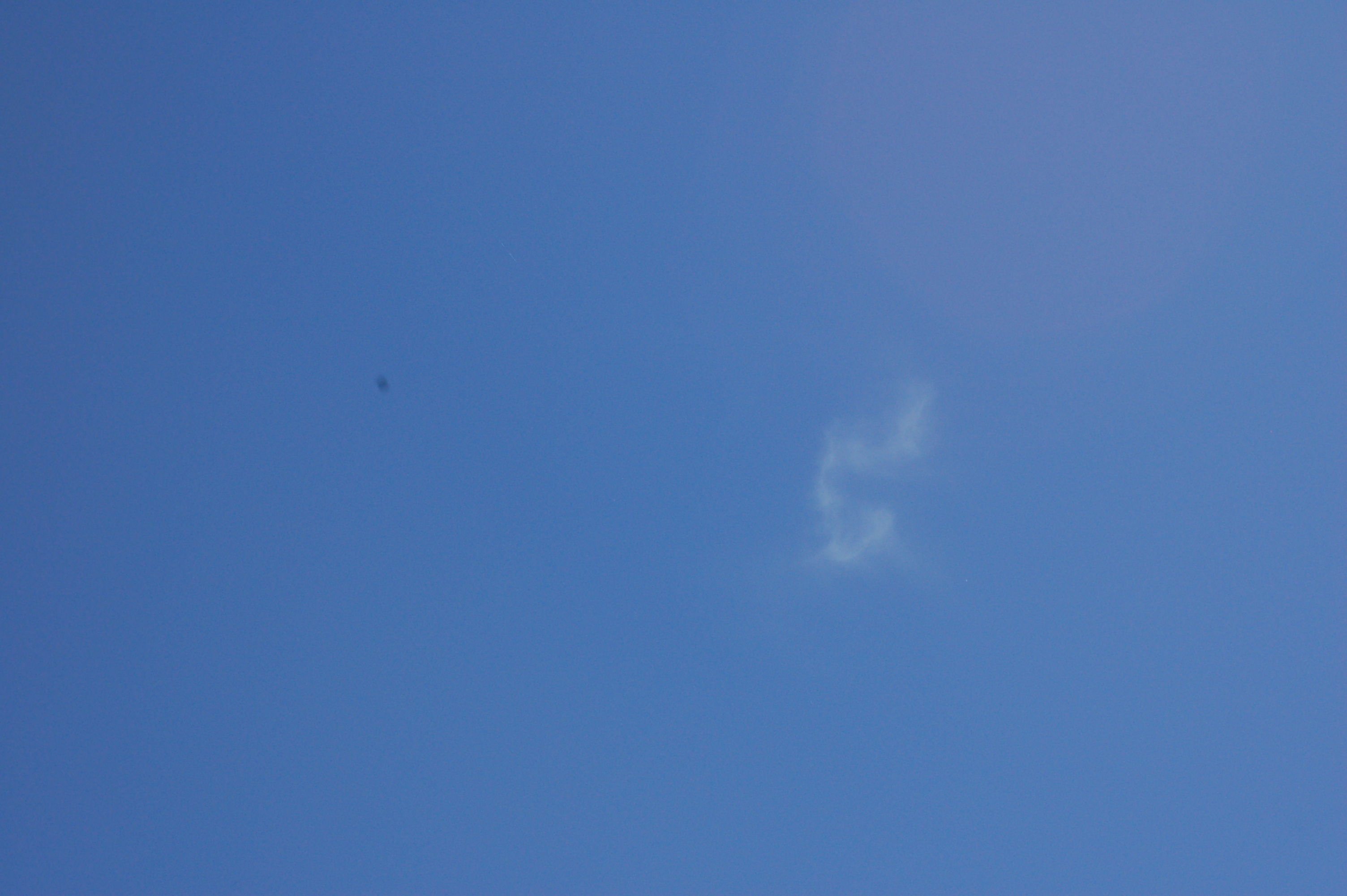DSC_0175.JPG
