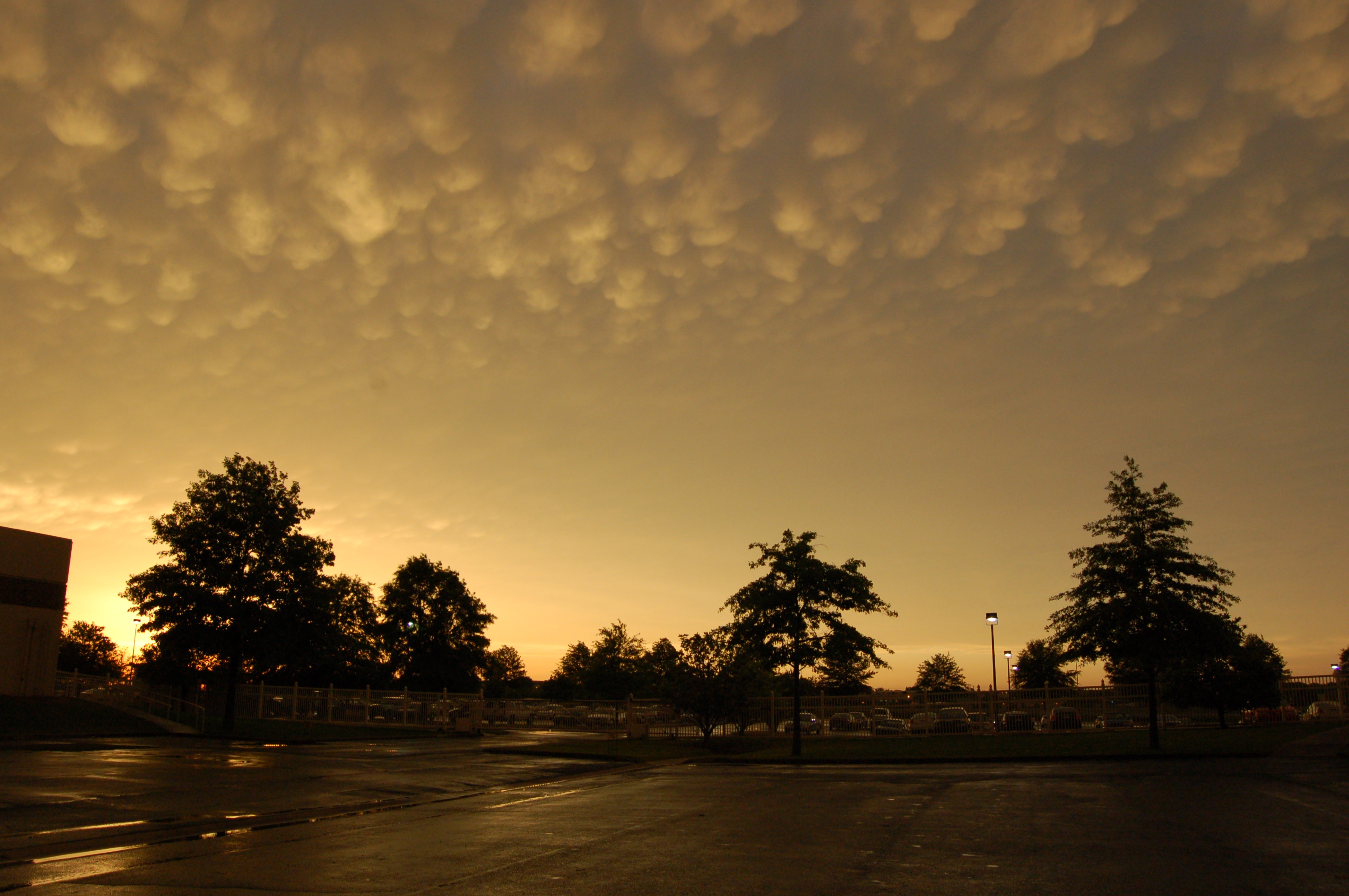 DSC_0022.JPG