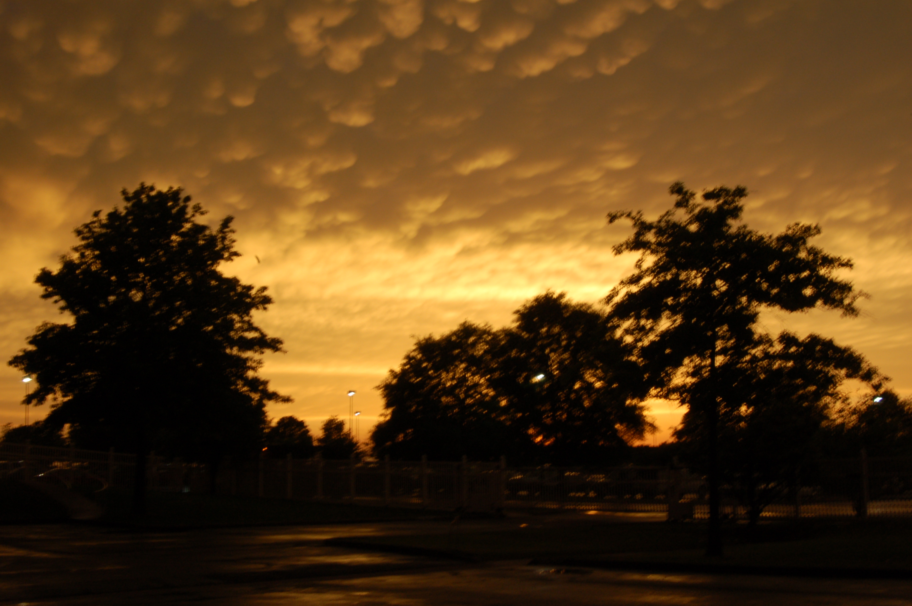 DSC_0031.JPG