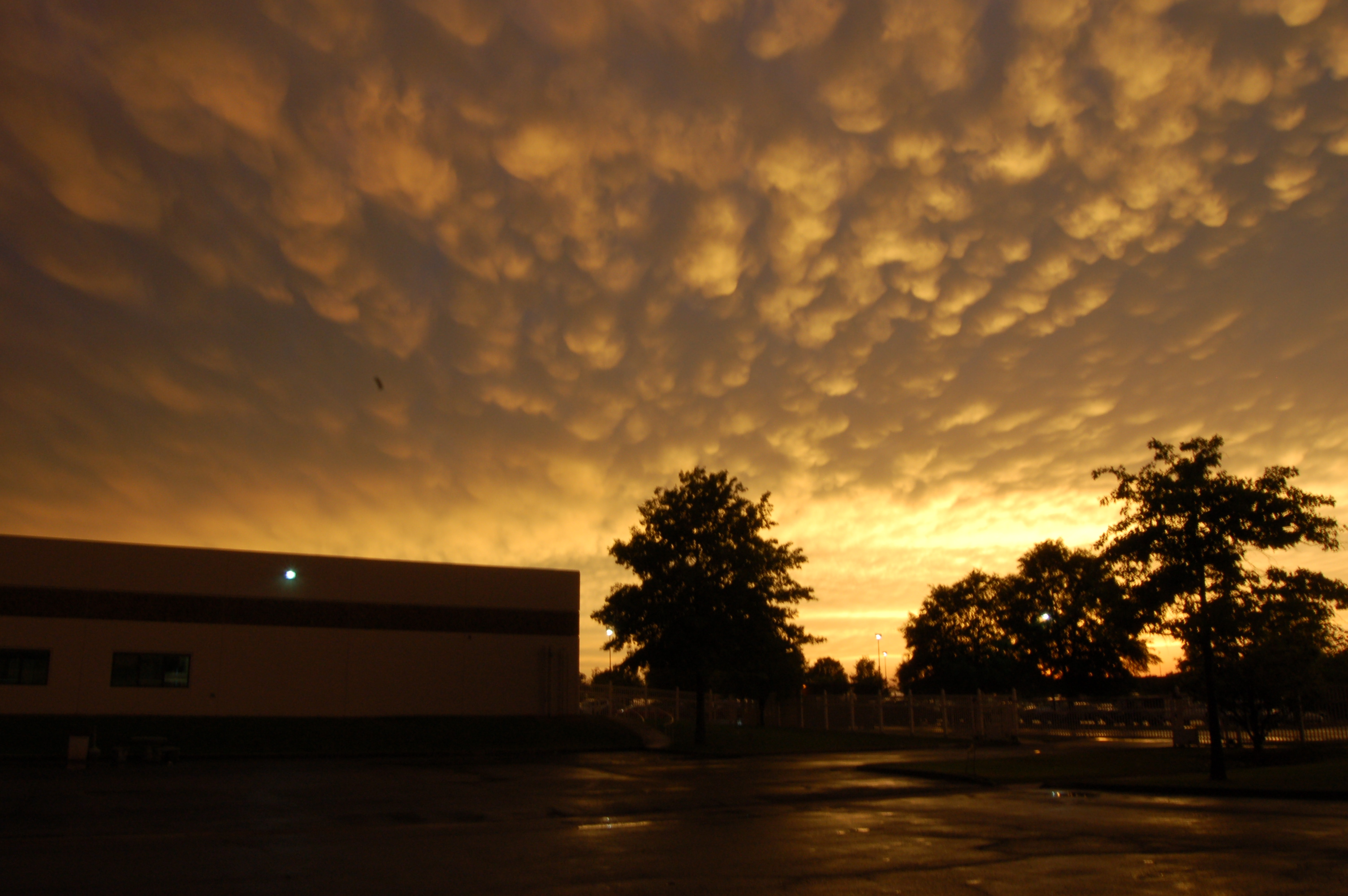 DSC_0032.JPG