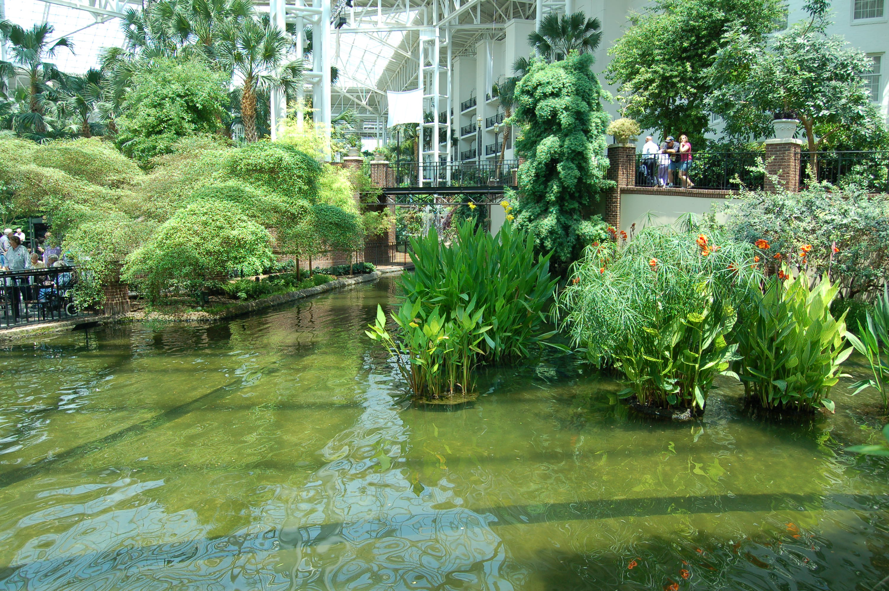 DSC_0144.JPG