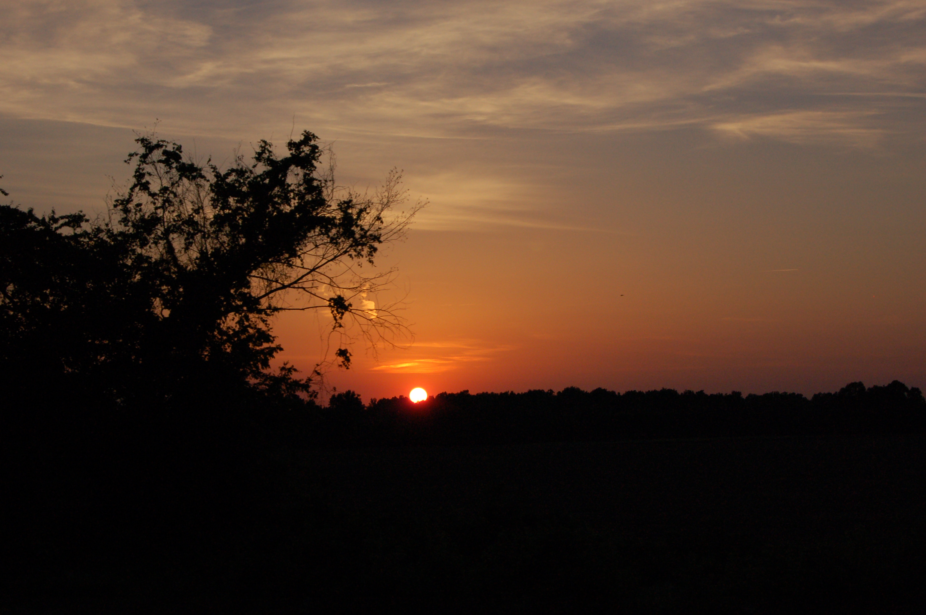 DSC_0221.JPG