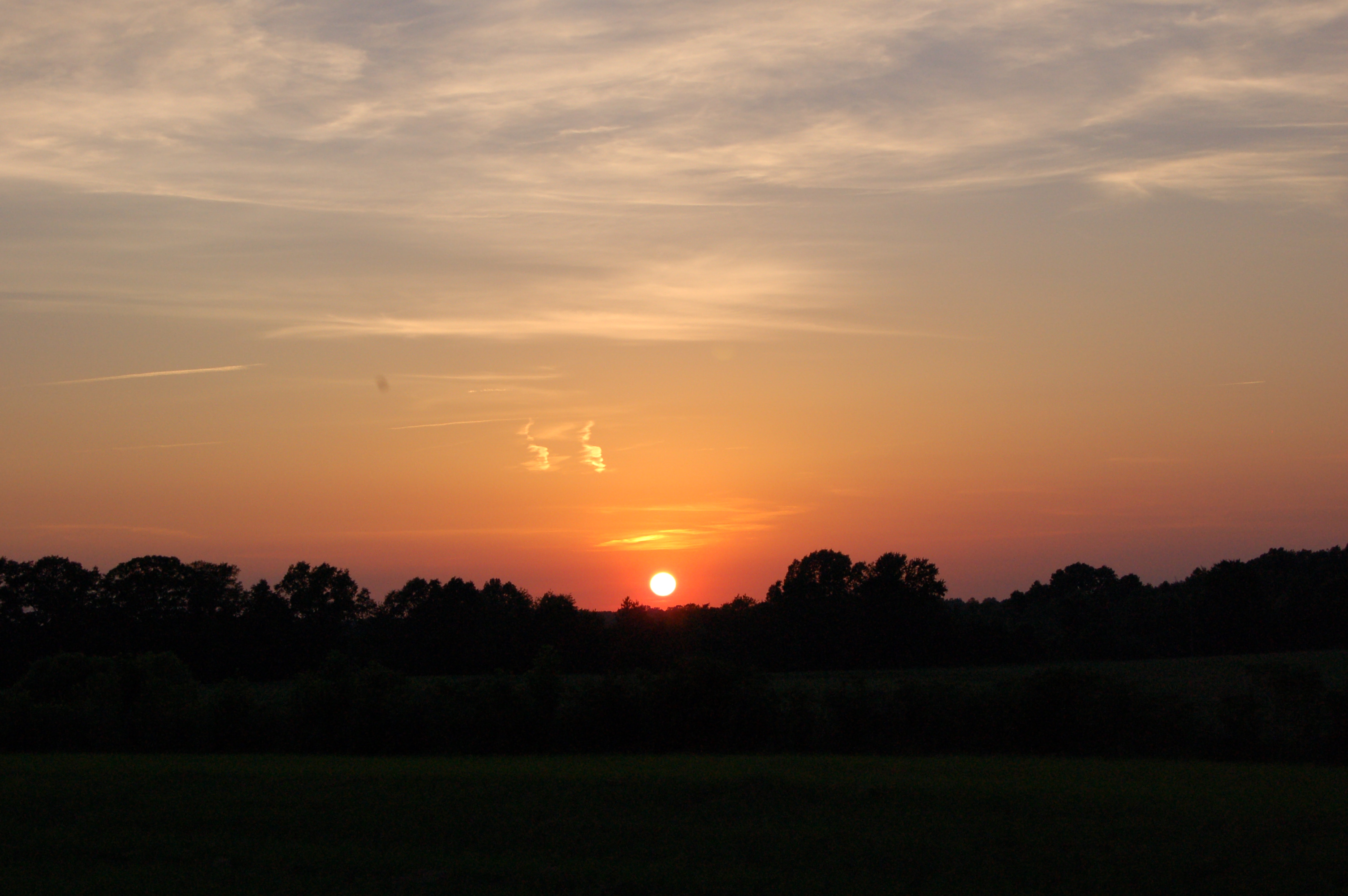 DSC_0222.JPG
