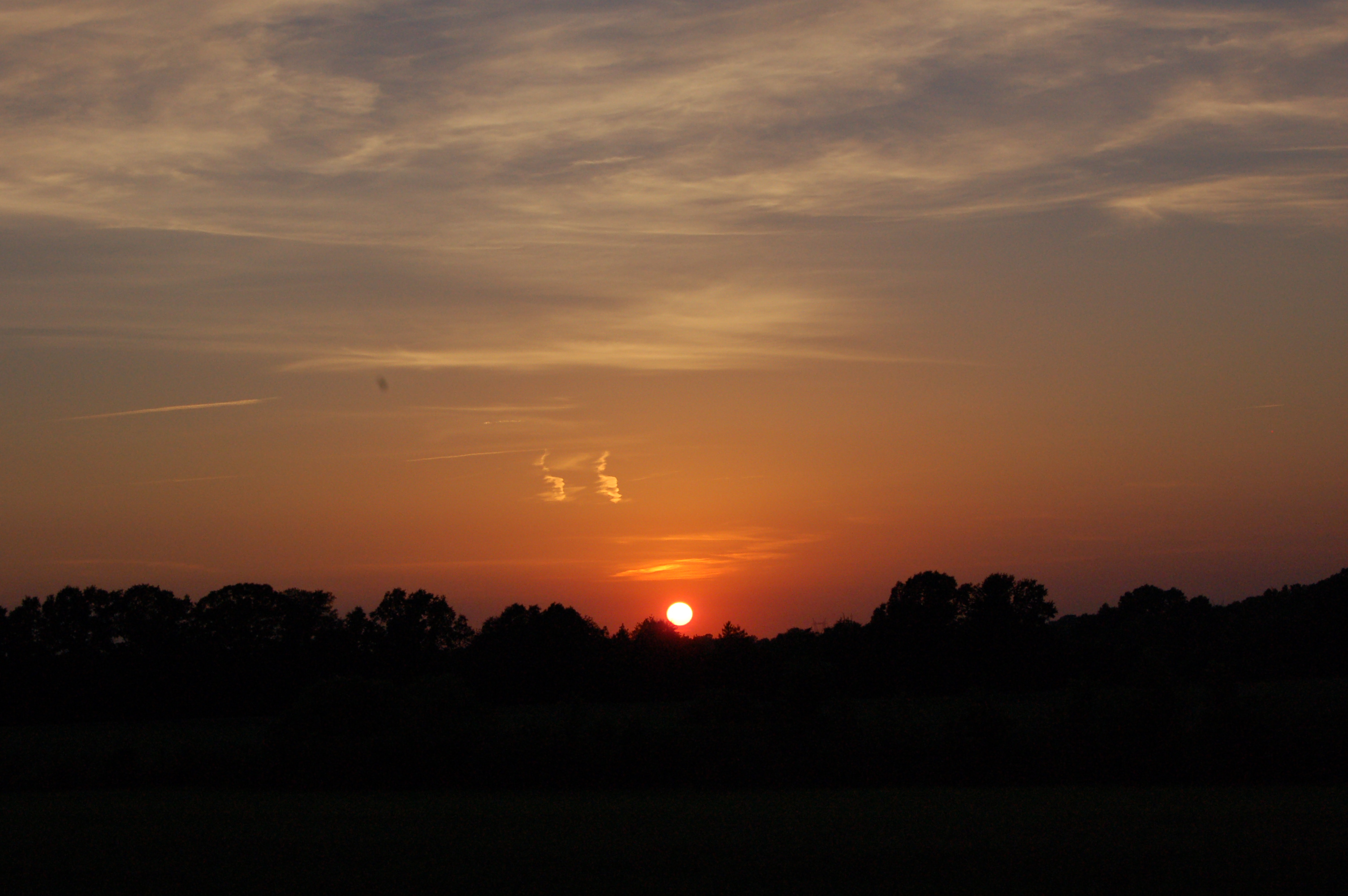 DSC_0223.JPG